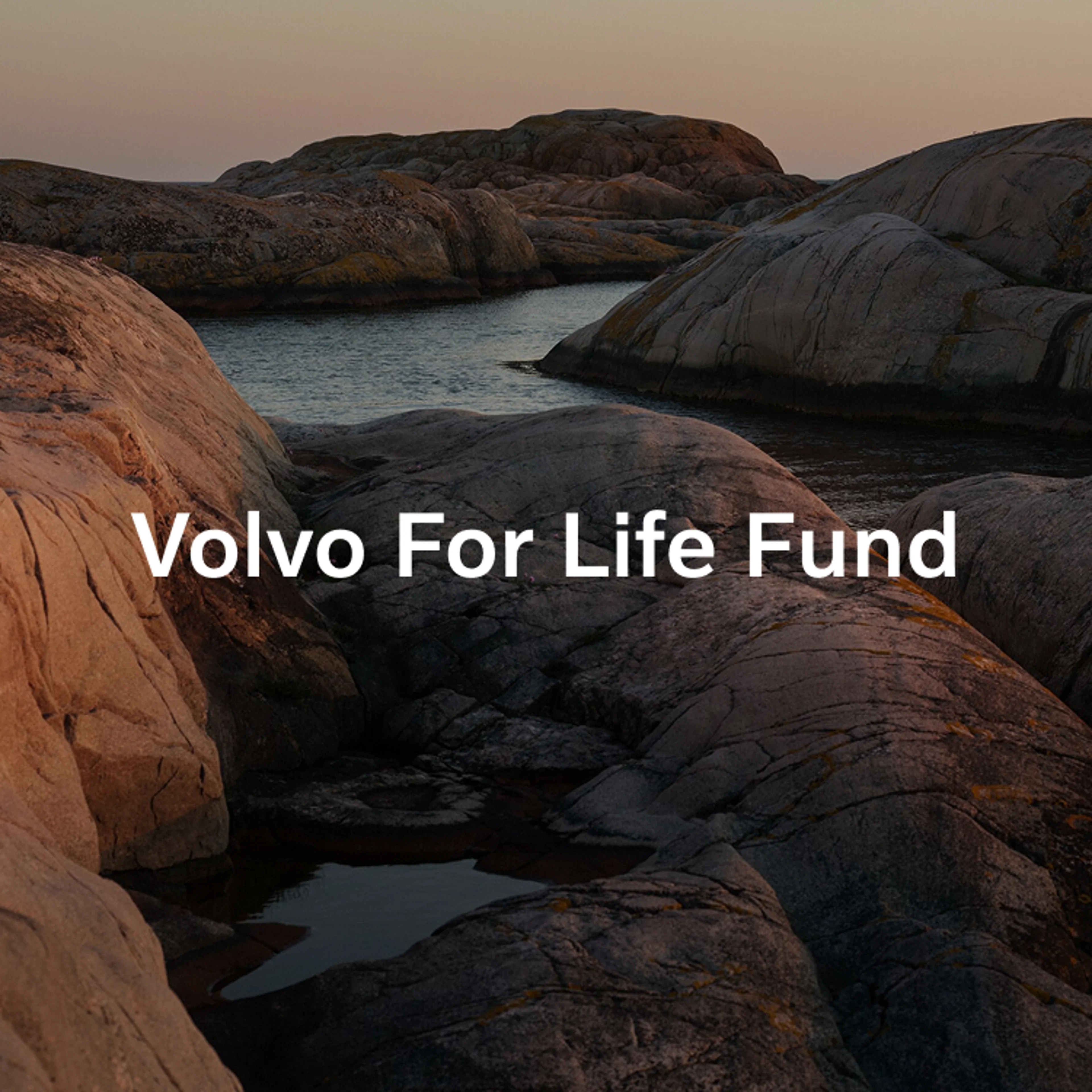 Rocky coastline at sunset with the text 'Volvo For Life Fund' displayed in the center.