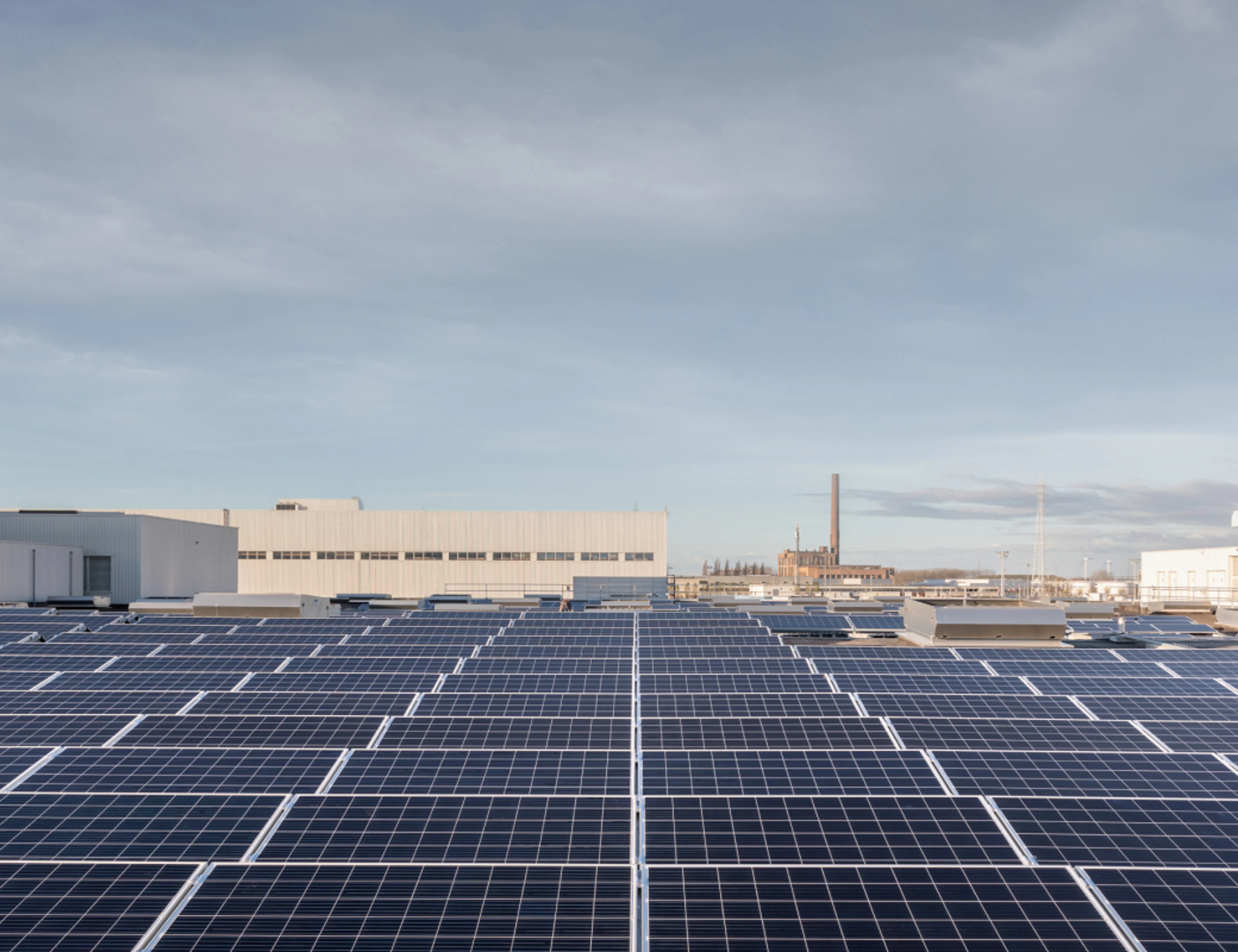 Viele Rollen von Solarmodulen auf einem Dach.