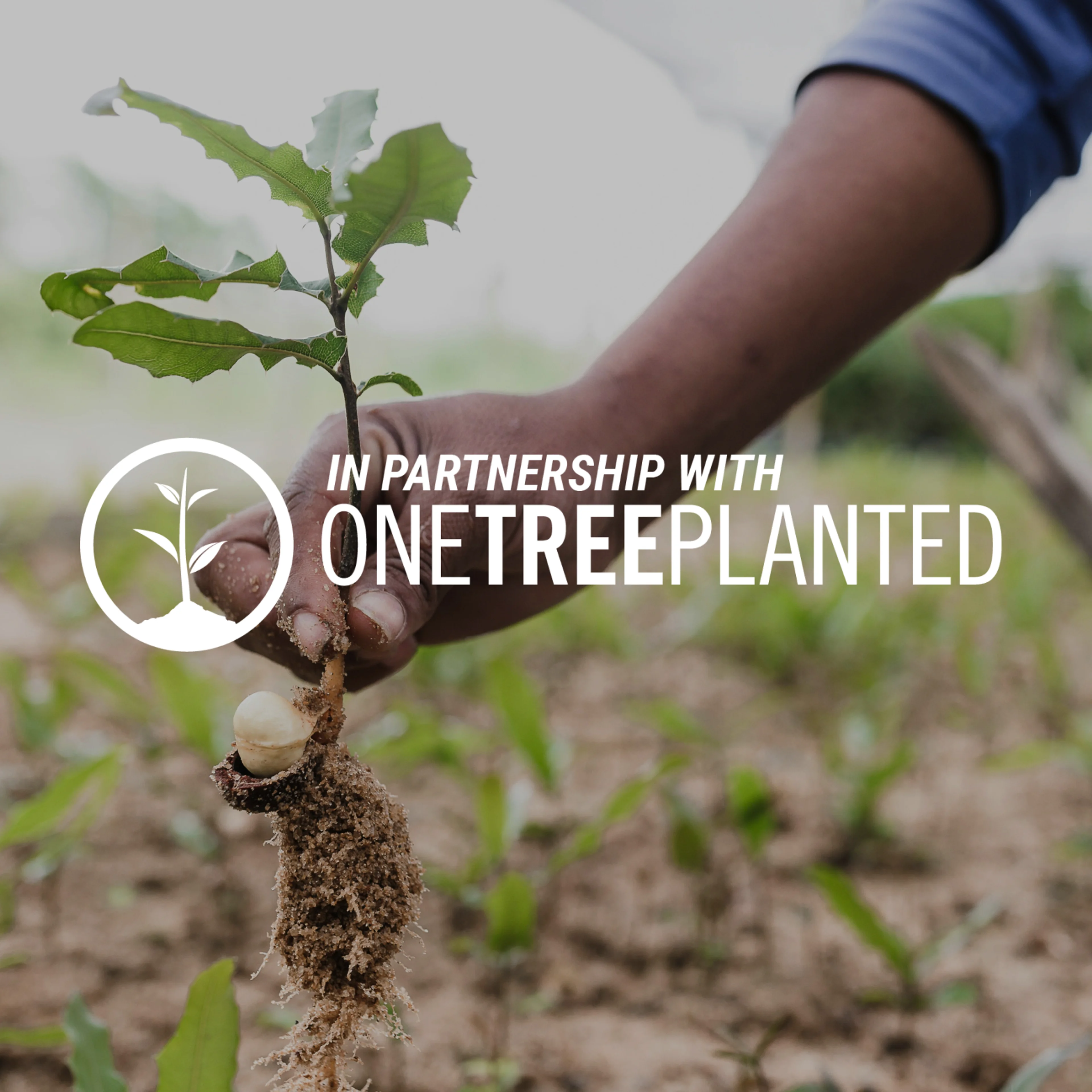 A person's hand holding a tree seedling with "In partnership with One Tree Planted" overlaying the image.
