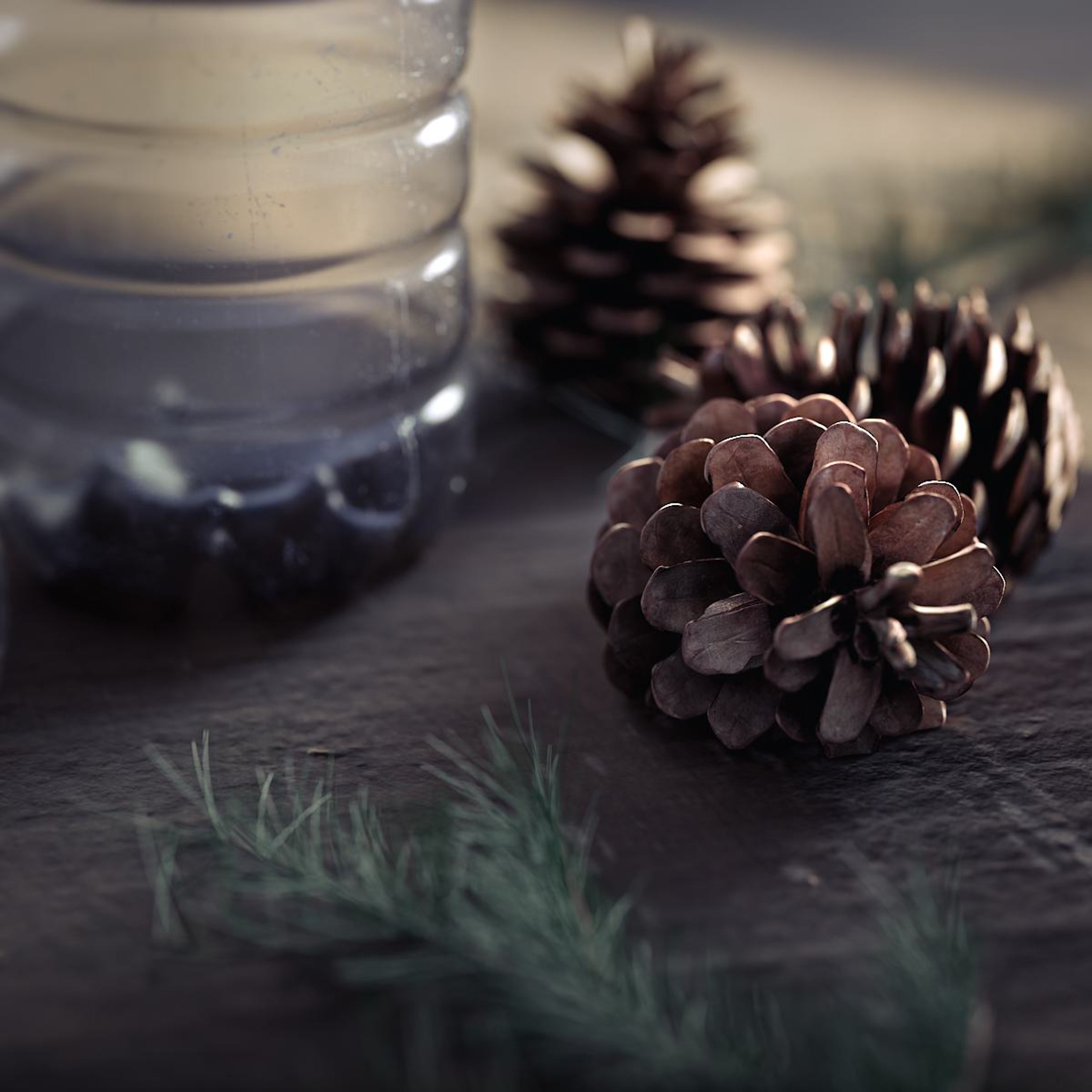 صورة مقربة لعناصر طبيعية مثل أكواز الصنوبر وزجاجة بلاستيكية تمثل مادة Nordico من فولفو، مصنوعة من زجاجات البولي إيثيلين تيريفثاليت المعاد تدويرها والبولي فينيل كلوريد ذي الصلة الحيوية الذي يتم الحصول عليه من الغابات السويدية والفنلندية.