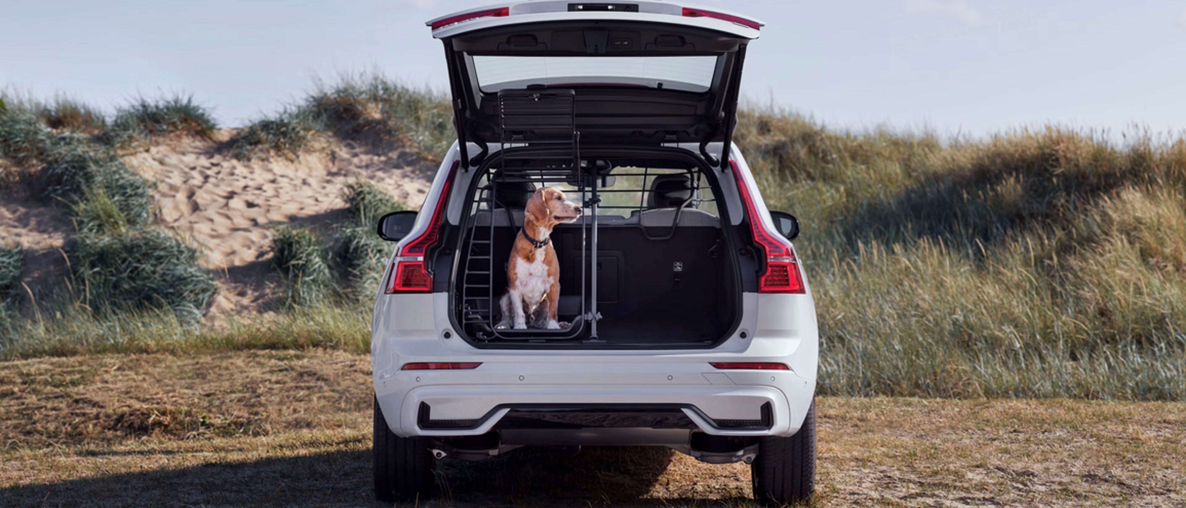 The full range of Volvo Cars Accessories for easier living.
