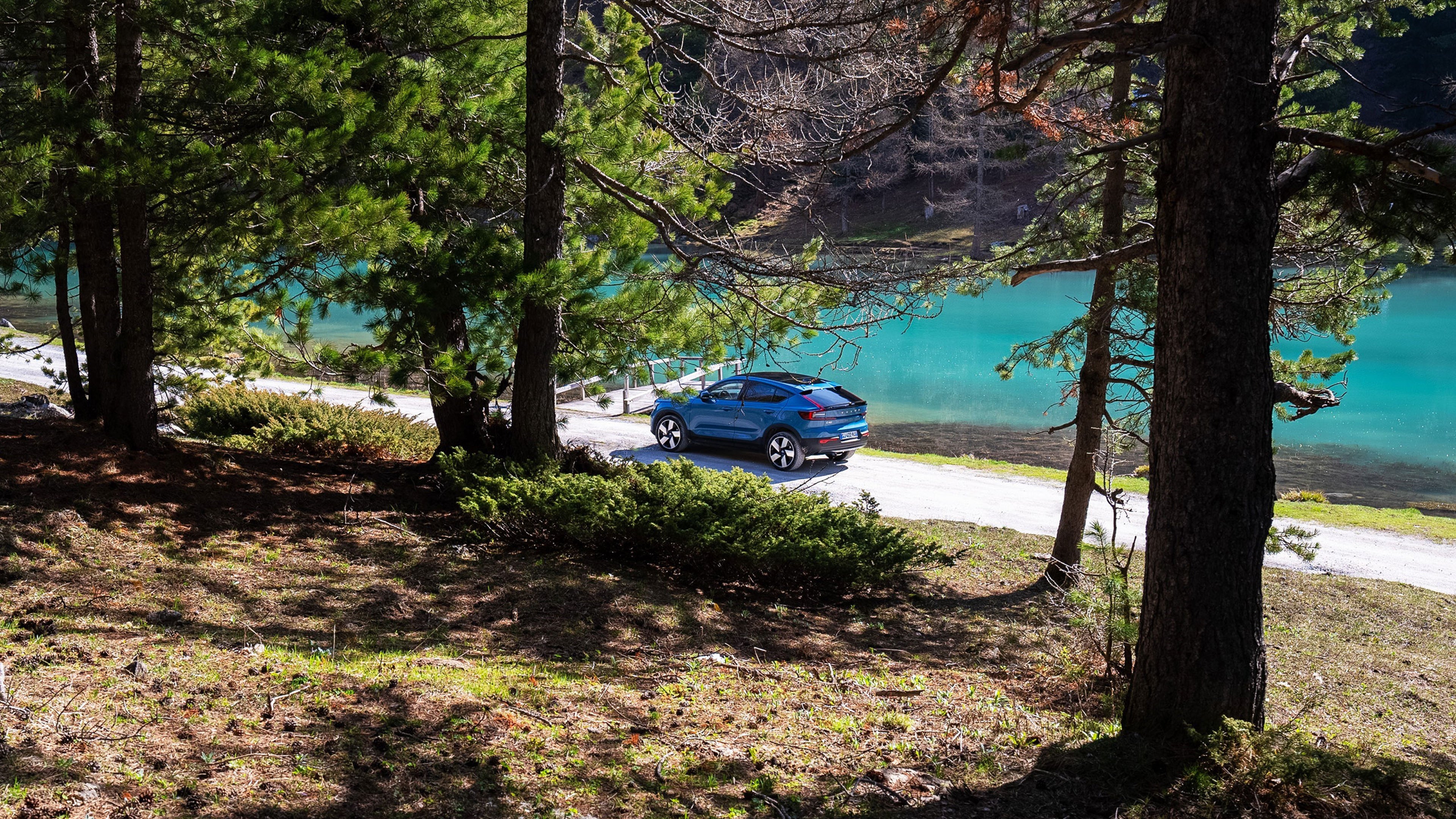 Volvo roulant dans la forêt