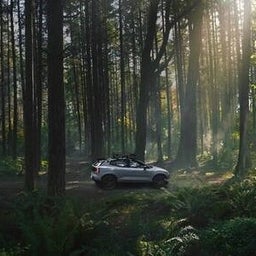 A Volvo SUV parked on a dirt path in a dense forest with tall trees and lush green foliage, illuminated by soft sunlight filtering through the canopy.