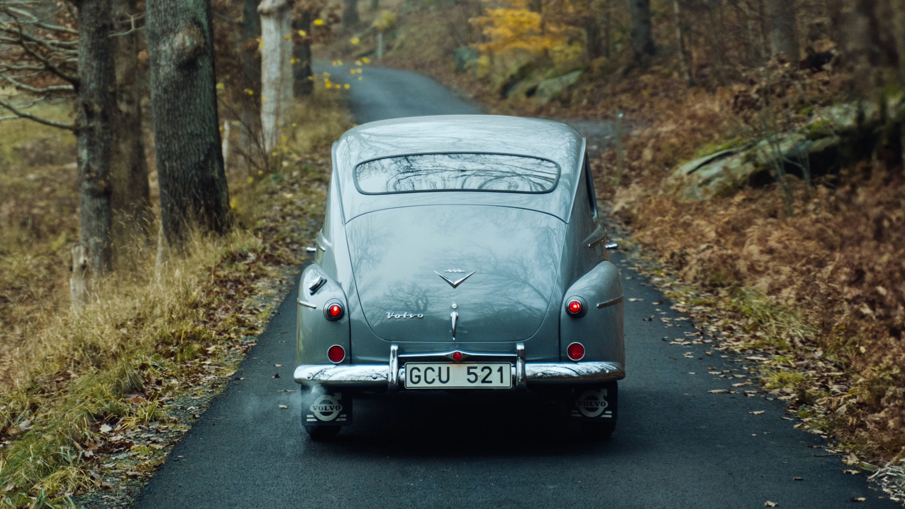 Volvo PV444 سيدان الكلاسيكية من الخلف، تبرز ممتص الصدمات من الكروم وعناصر التصميم التاريخي.