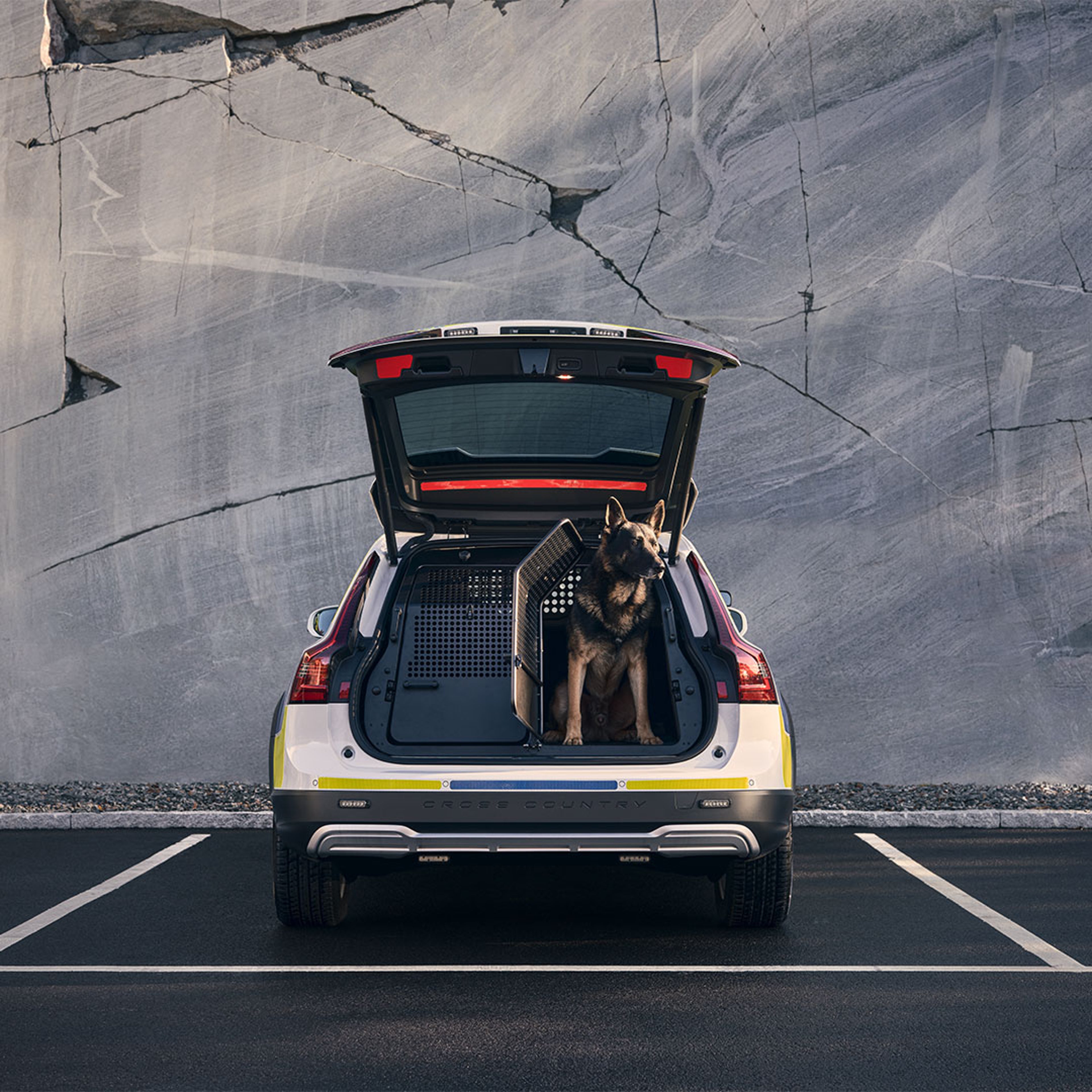 De V90 Cross Country politieauto van achteren gezien met geopende achterklep, een hondenbench met daarin een politiehond.