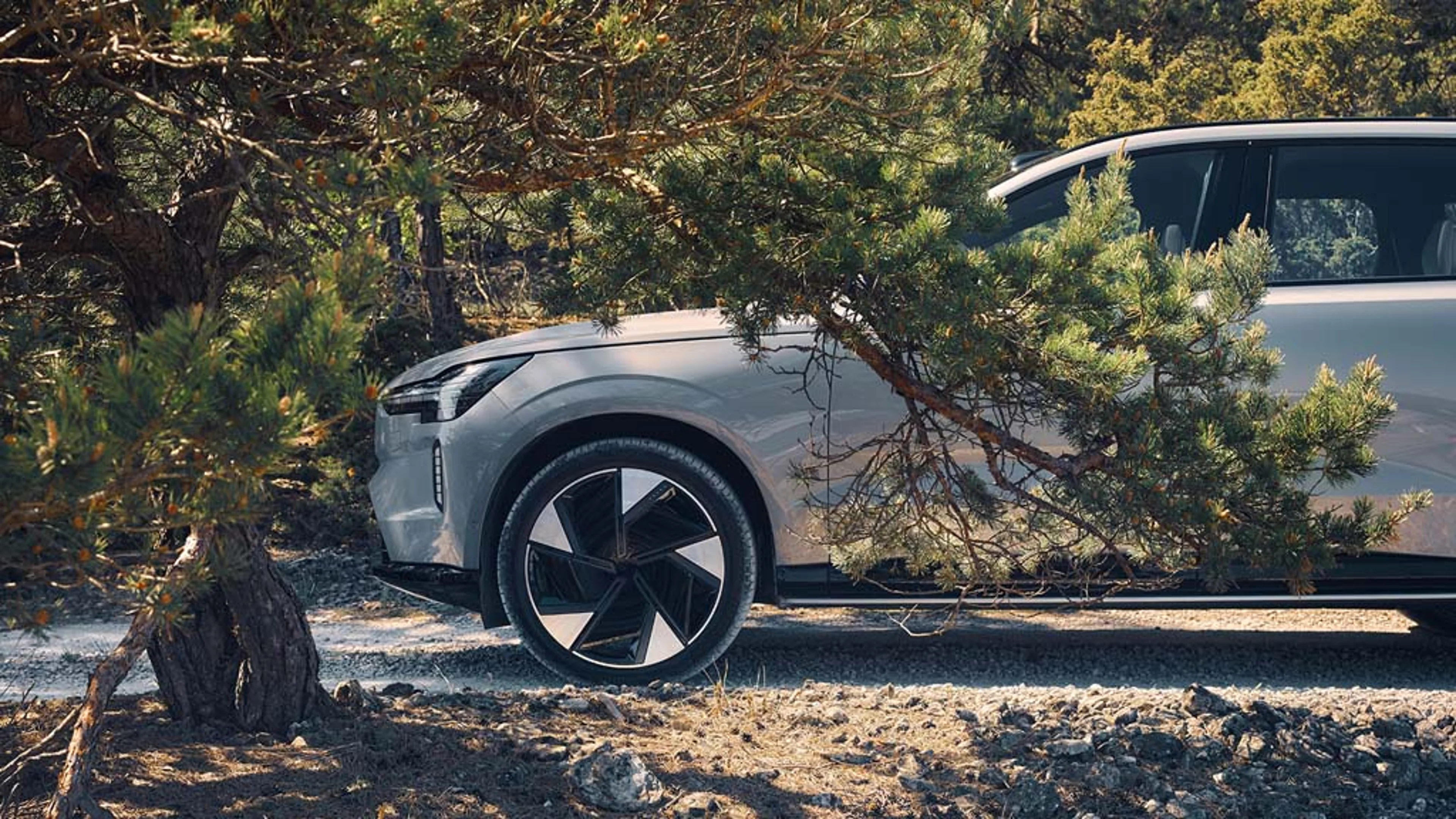 Kampagnen Motiv für die Volvo Midsommar Leasing Angebote 2025