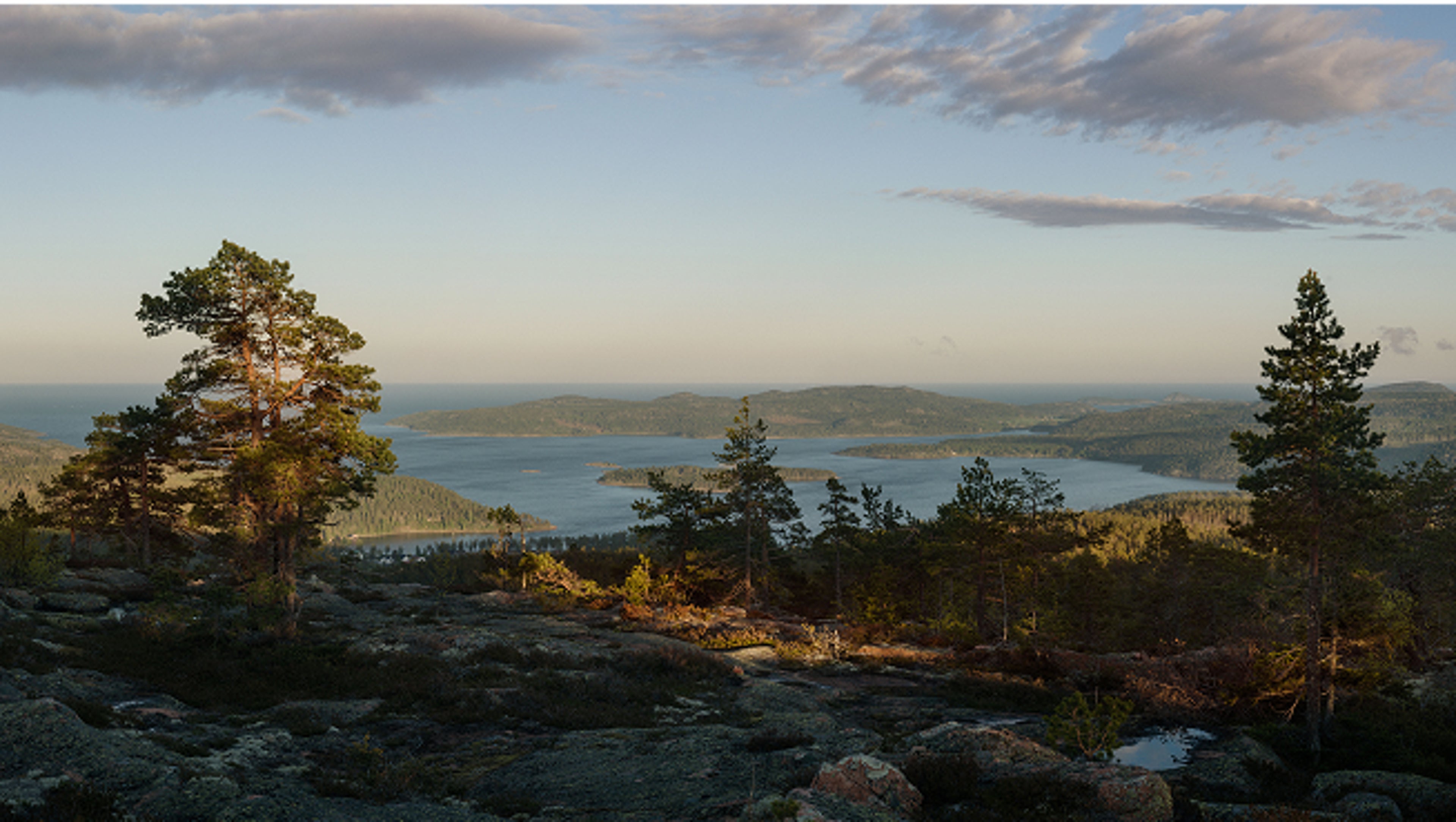 A winding road cuts through a dense, green forest under a partly  cloudy sky, while a Volvo electric car drives down the road.