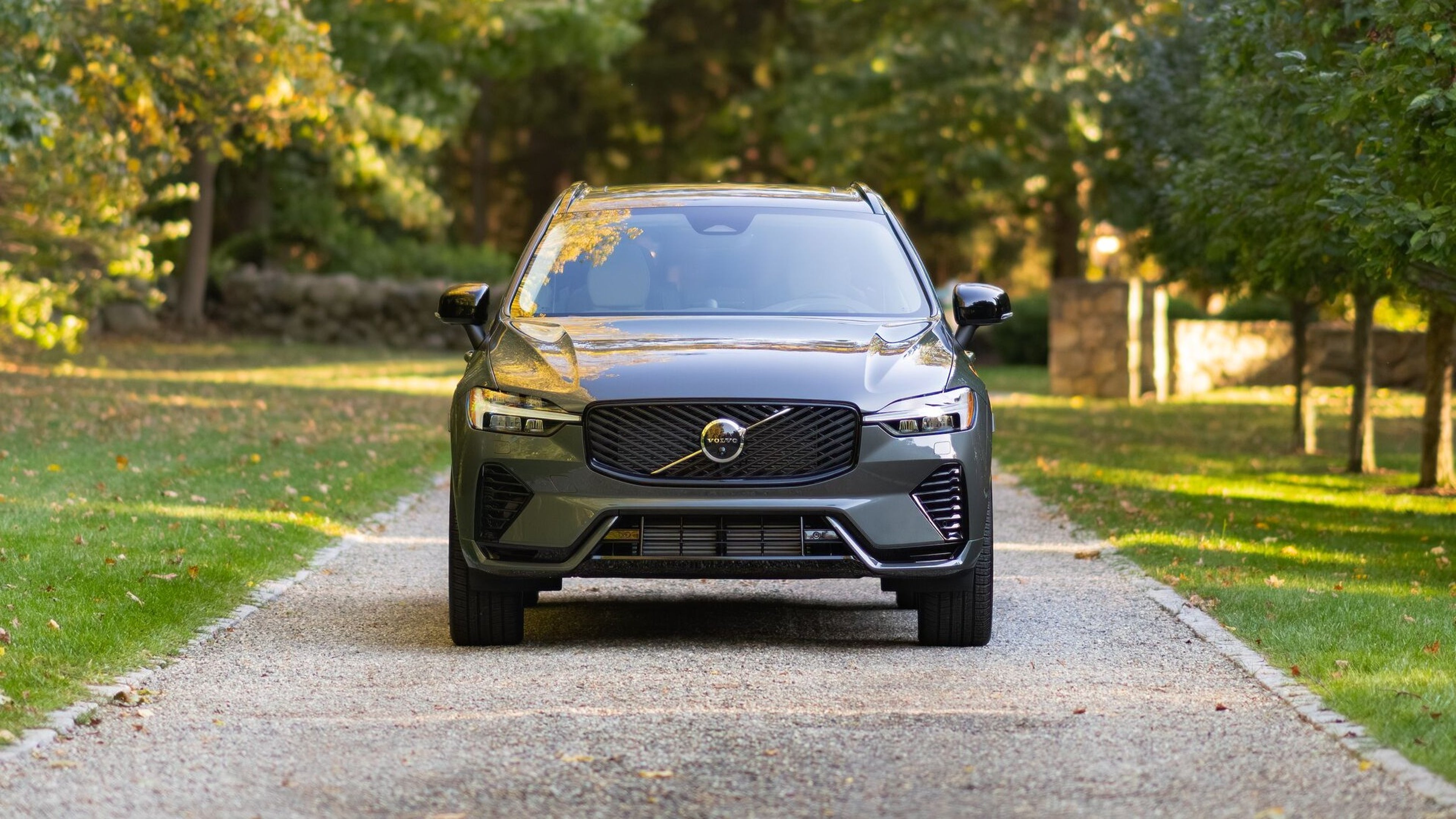 Volvo XC60 parked with tree in background