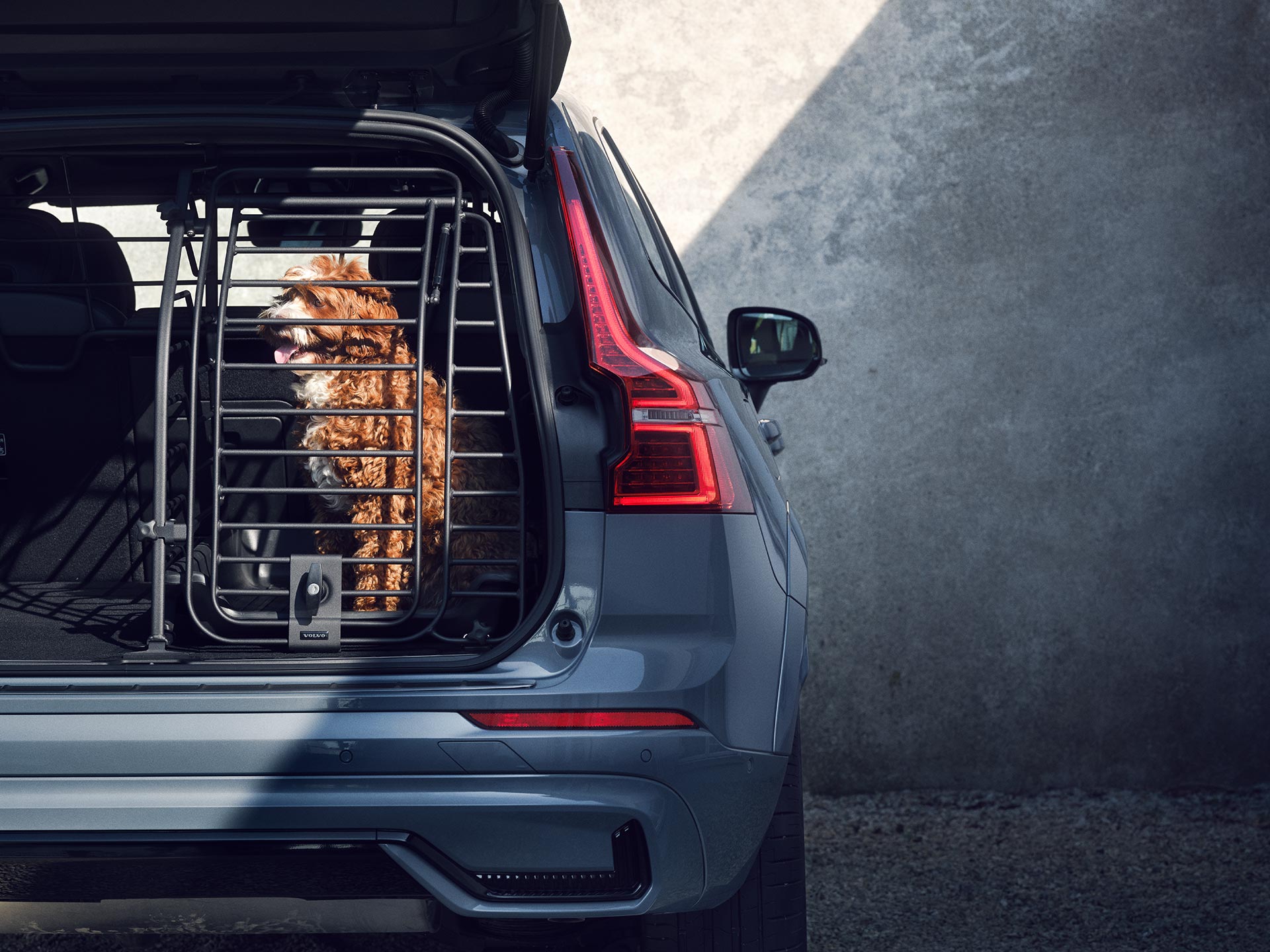 A copper-coloured dog sits in a secure dog cage, an accessory specifically designed for the safety and comfort of pets travelling in Volvo cars.