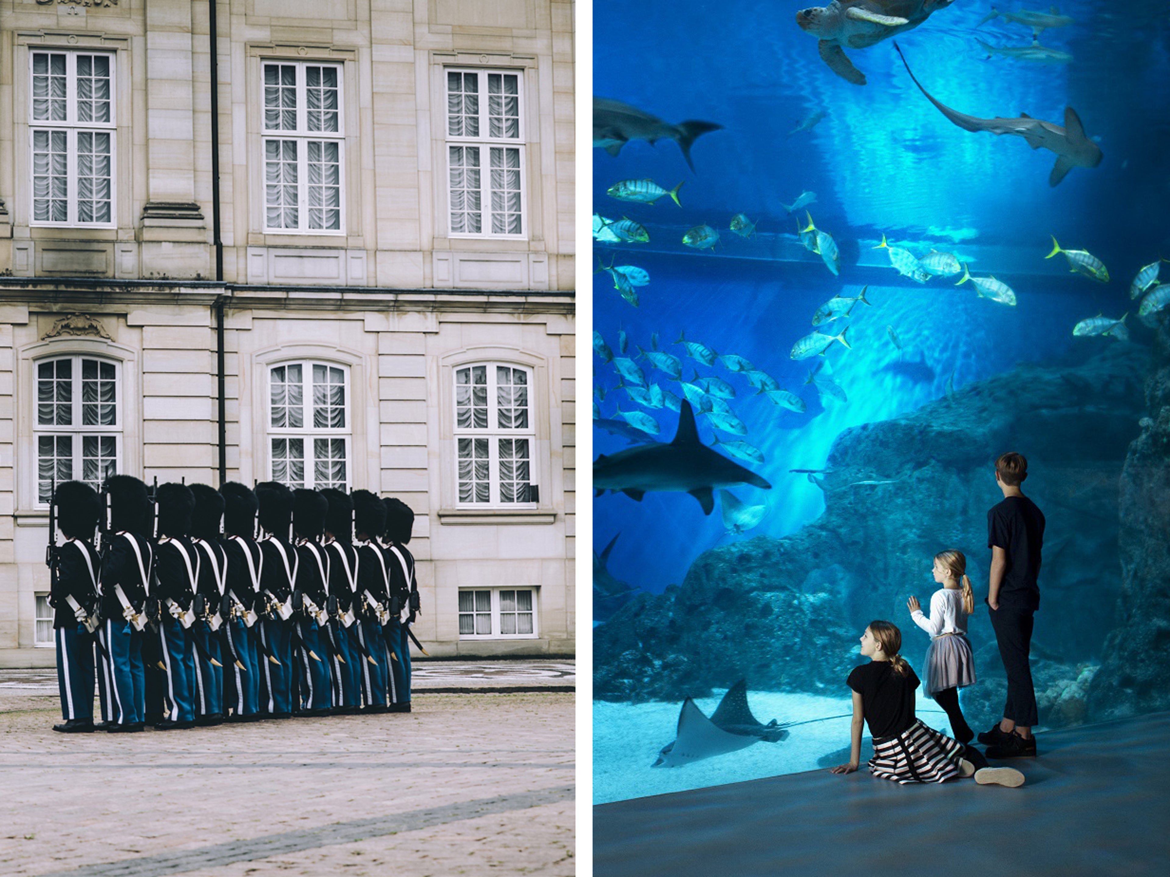 collage - amalienborg og planeet