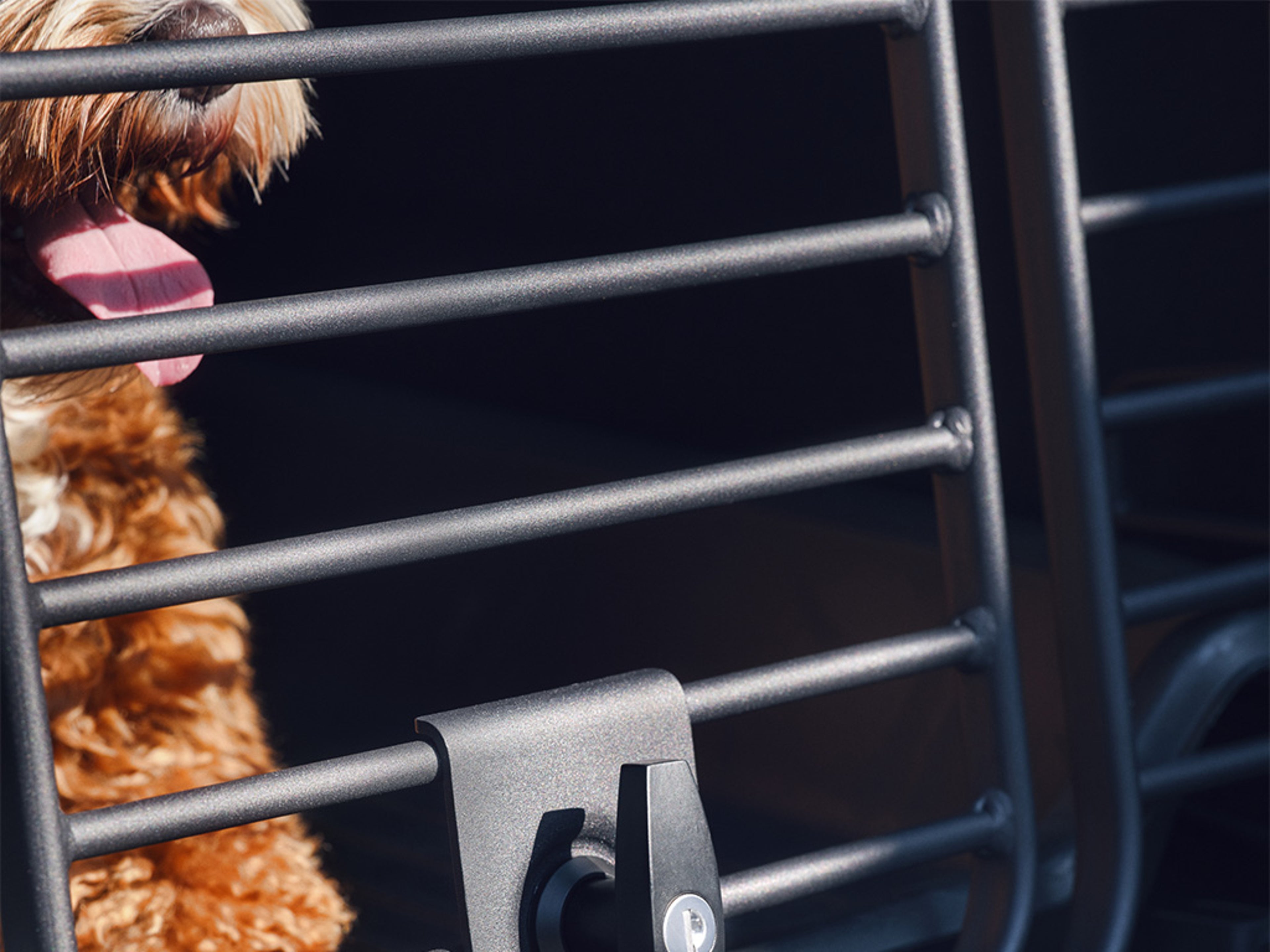 A close-up of a dog's face peeking through the bars of a pet crate, with its tongue out and a playful expression.