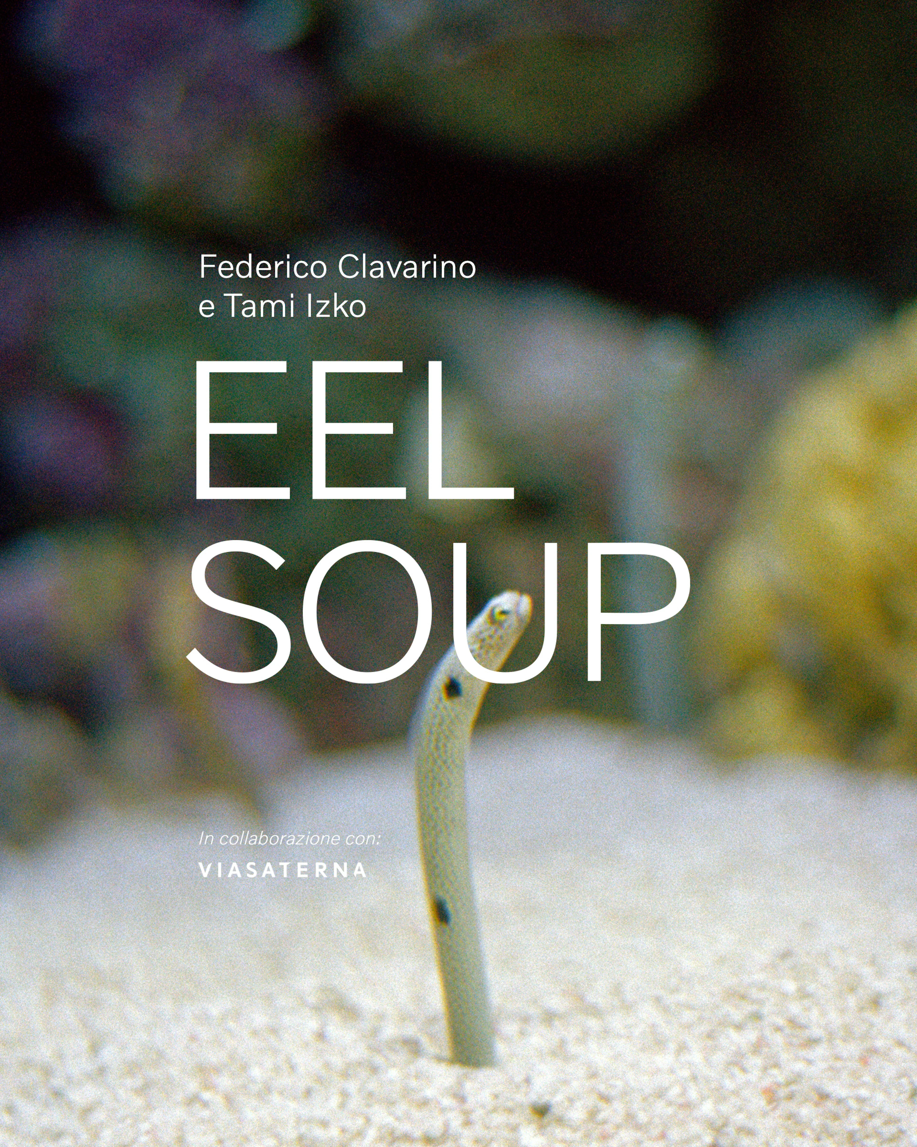 Volvo | eel soup