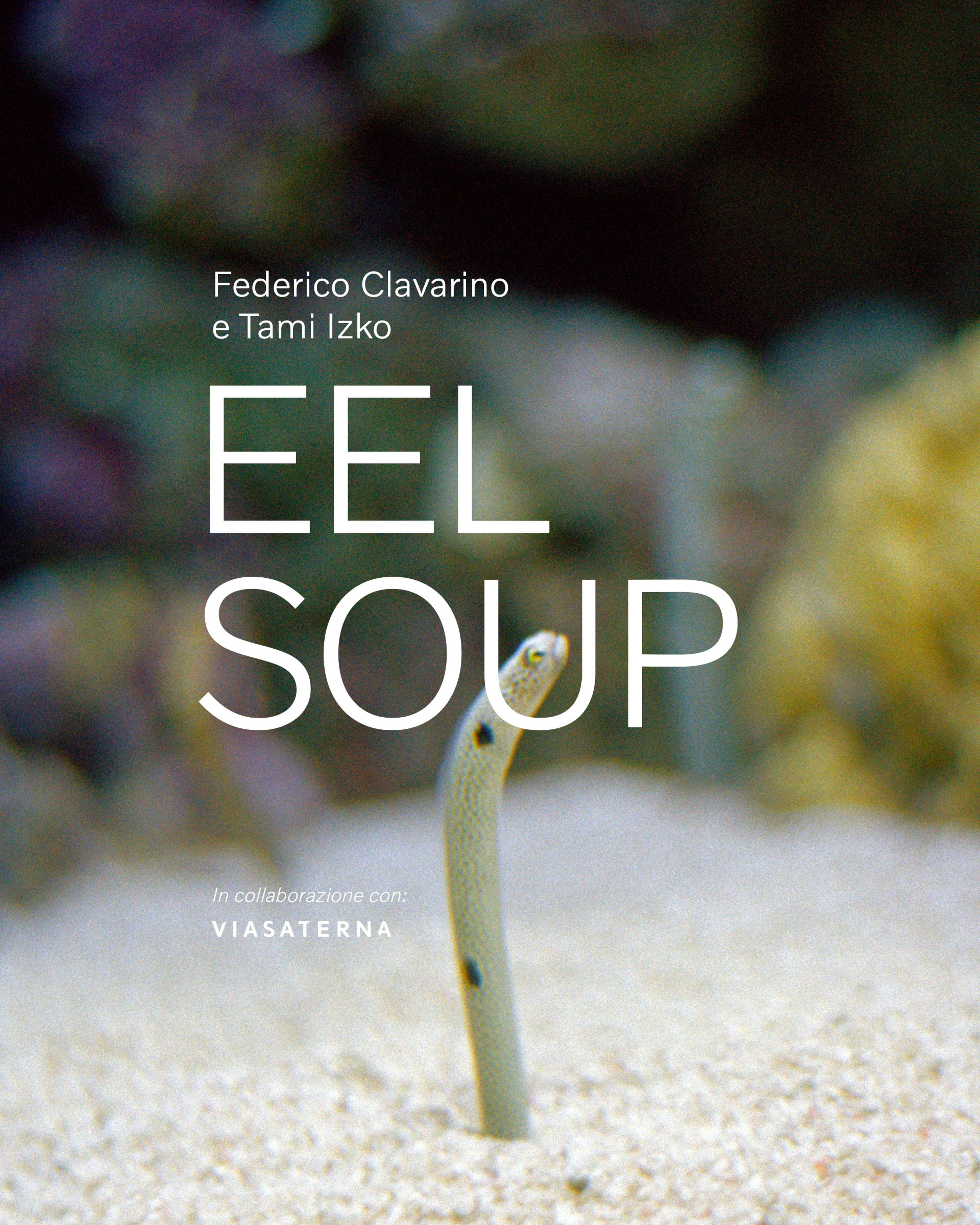 Volvo | eel soup