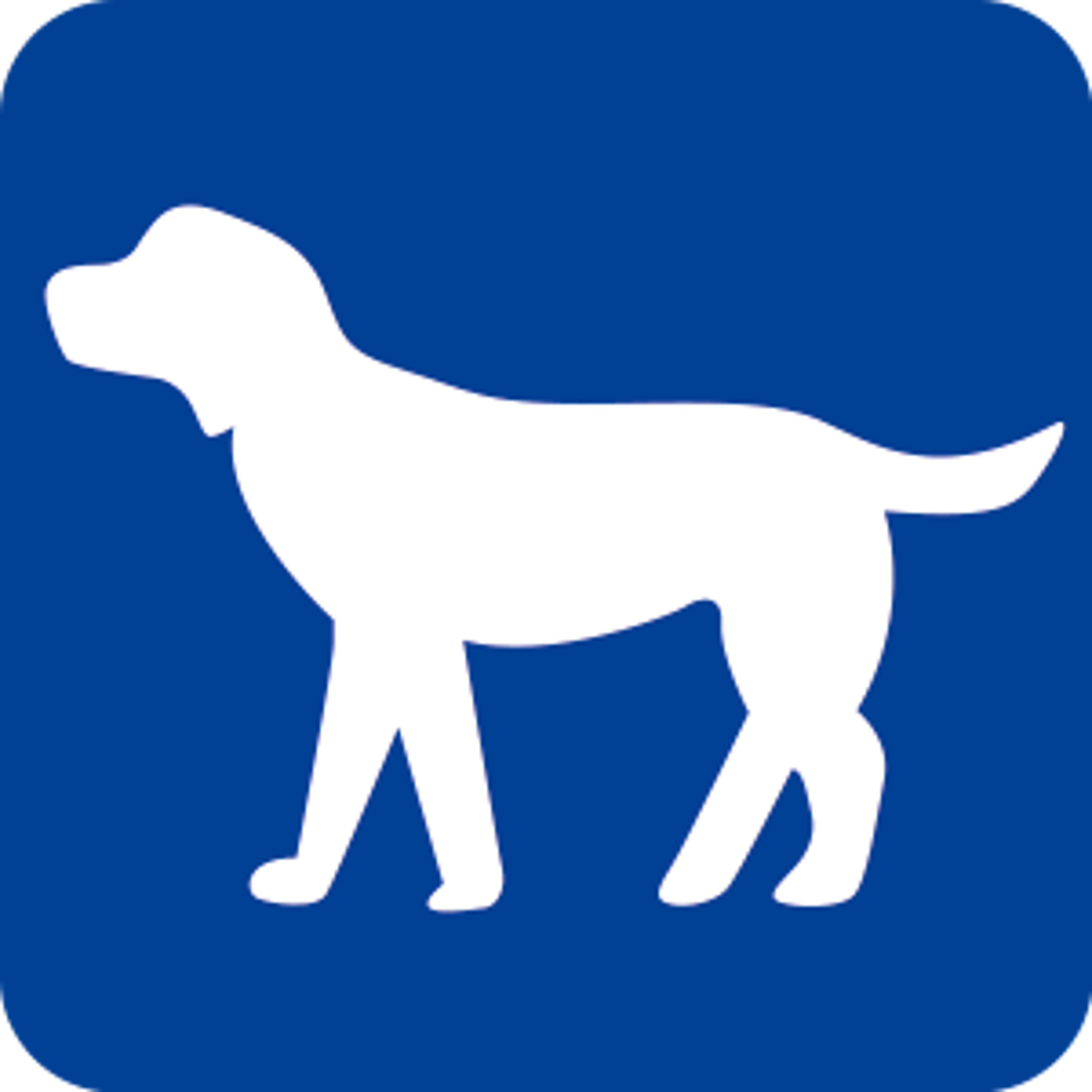 愛犬アクセサリー補償