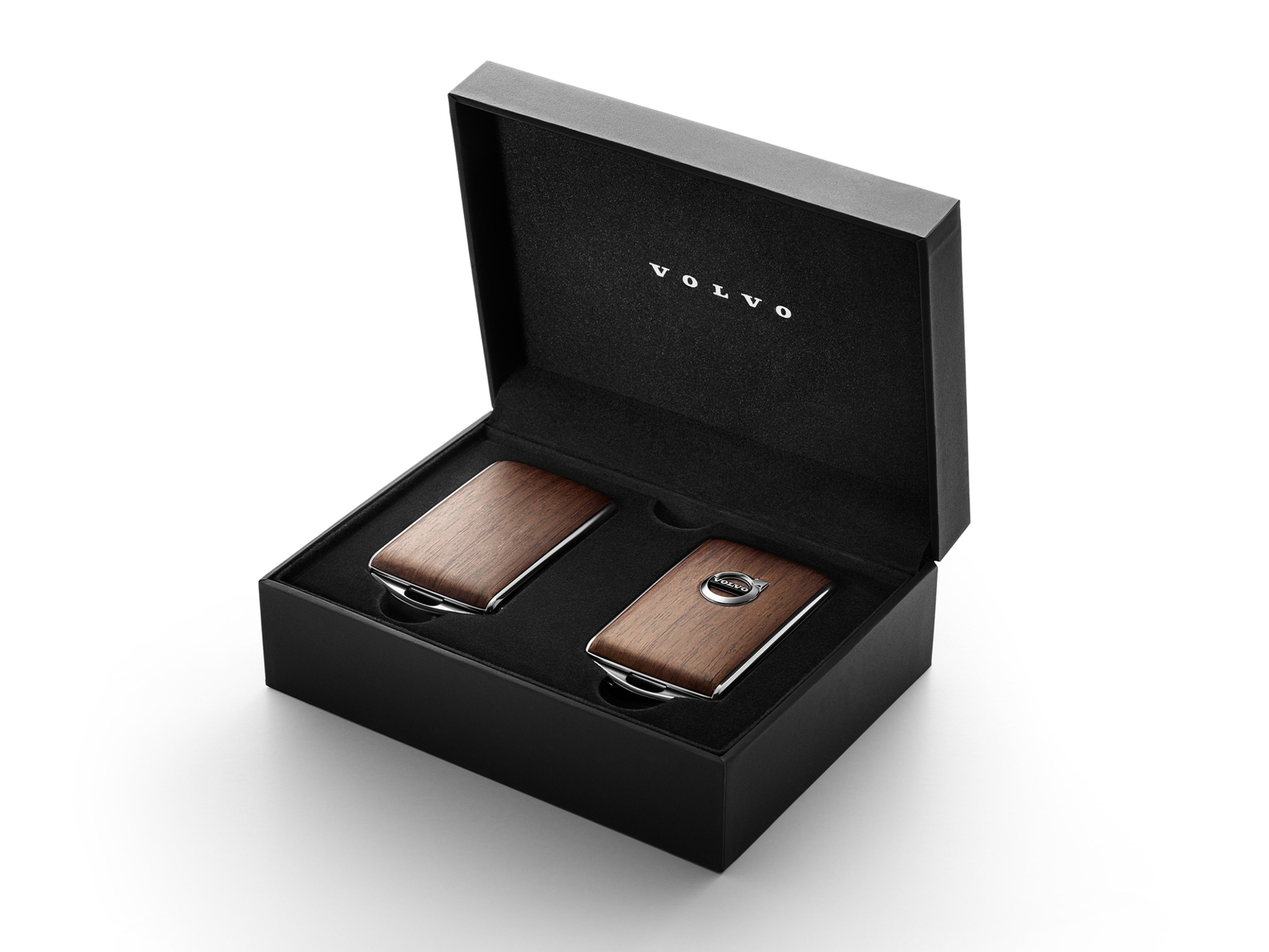 Carcasas del llavero