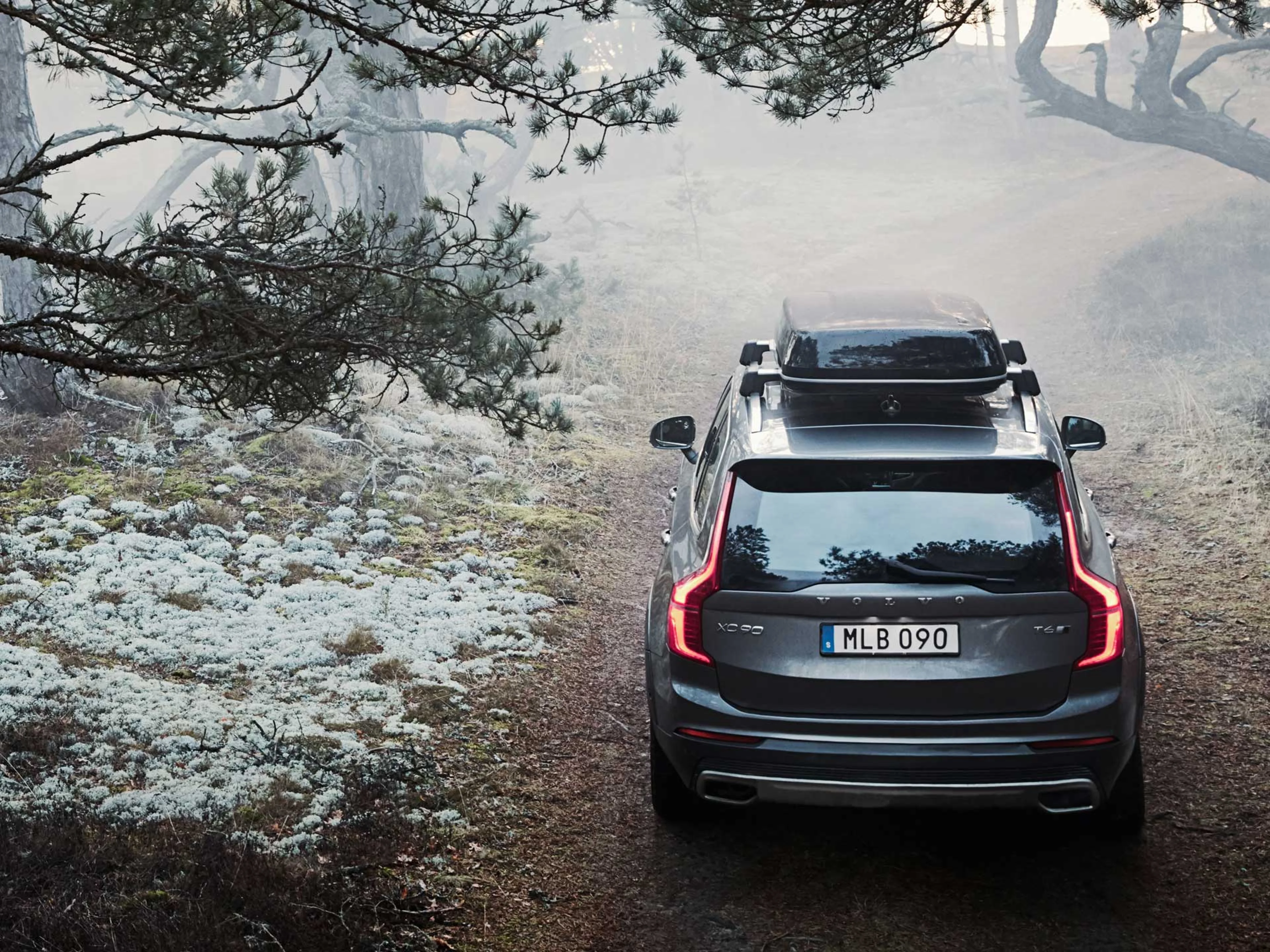 Un vehículo Volvo en un sendero boscoso con niebla.