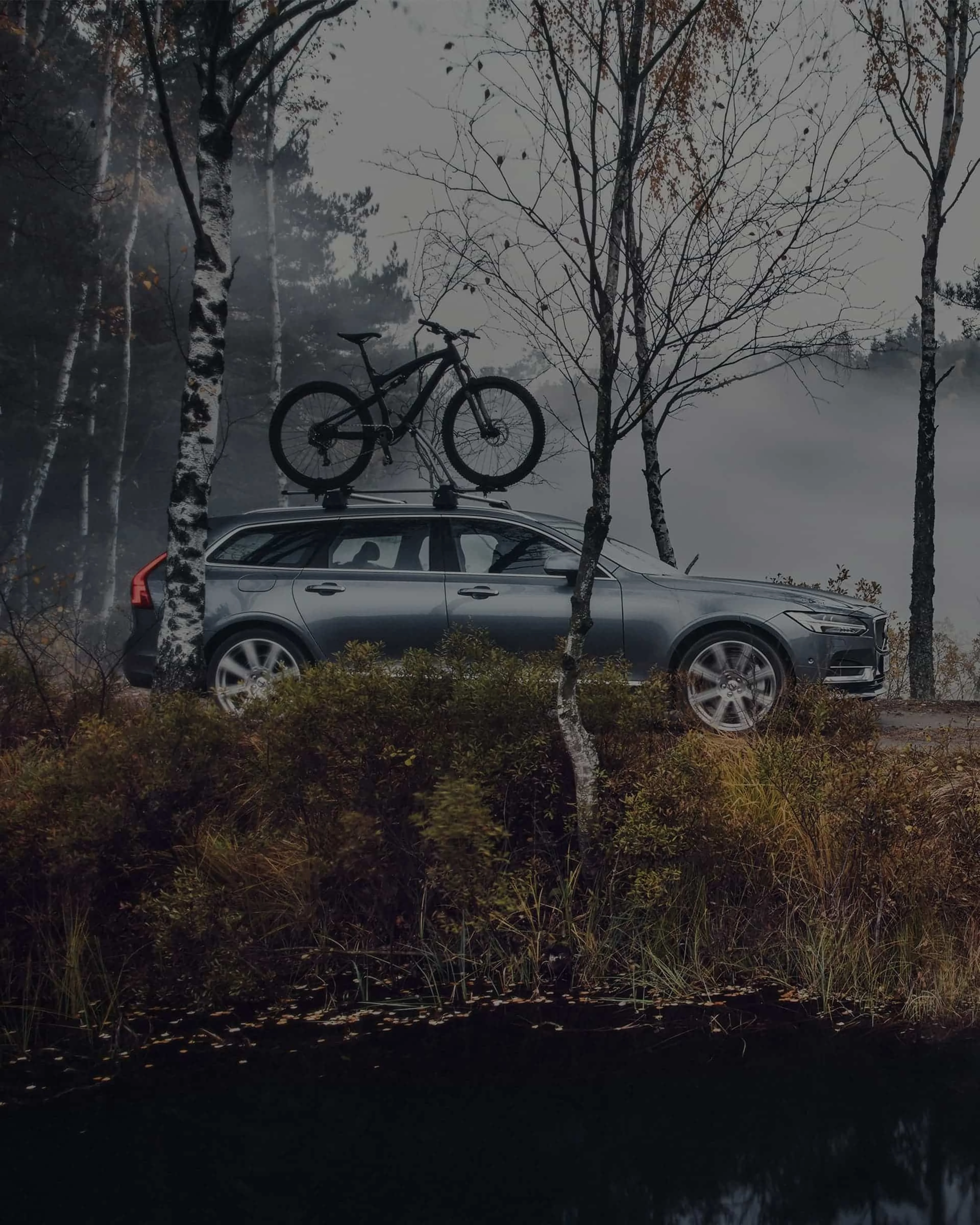 Grijze Volvo V90 met een fiets op het dak, geparkeerd aan de rand van een bos met een meer.