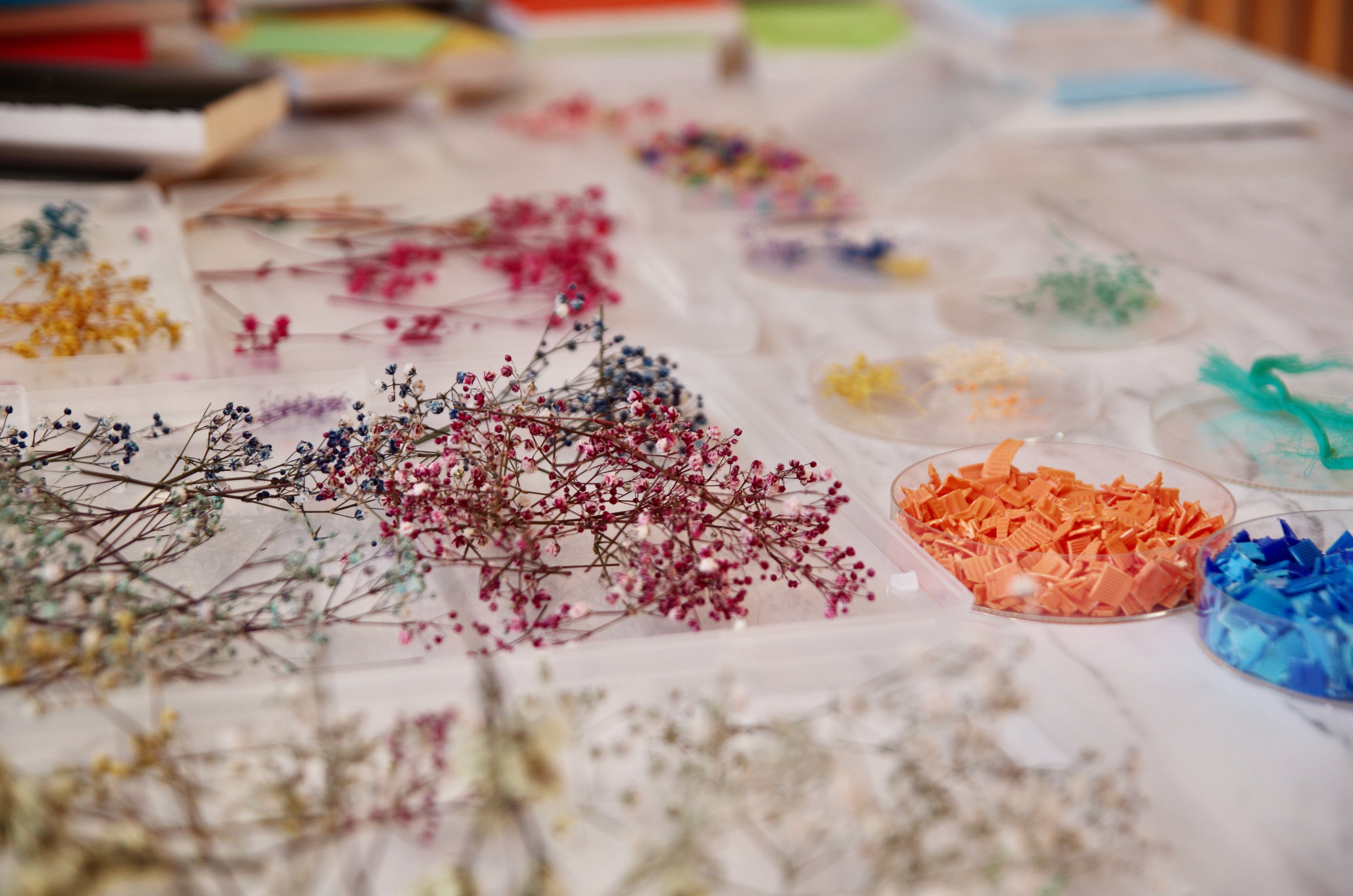 環境ワークショップ