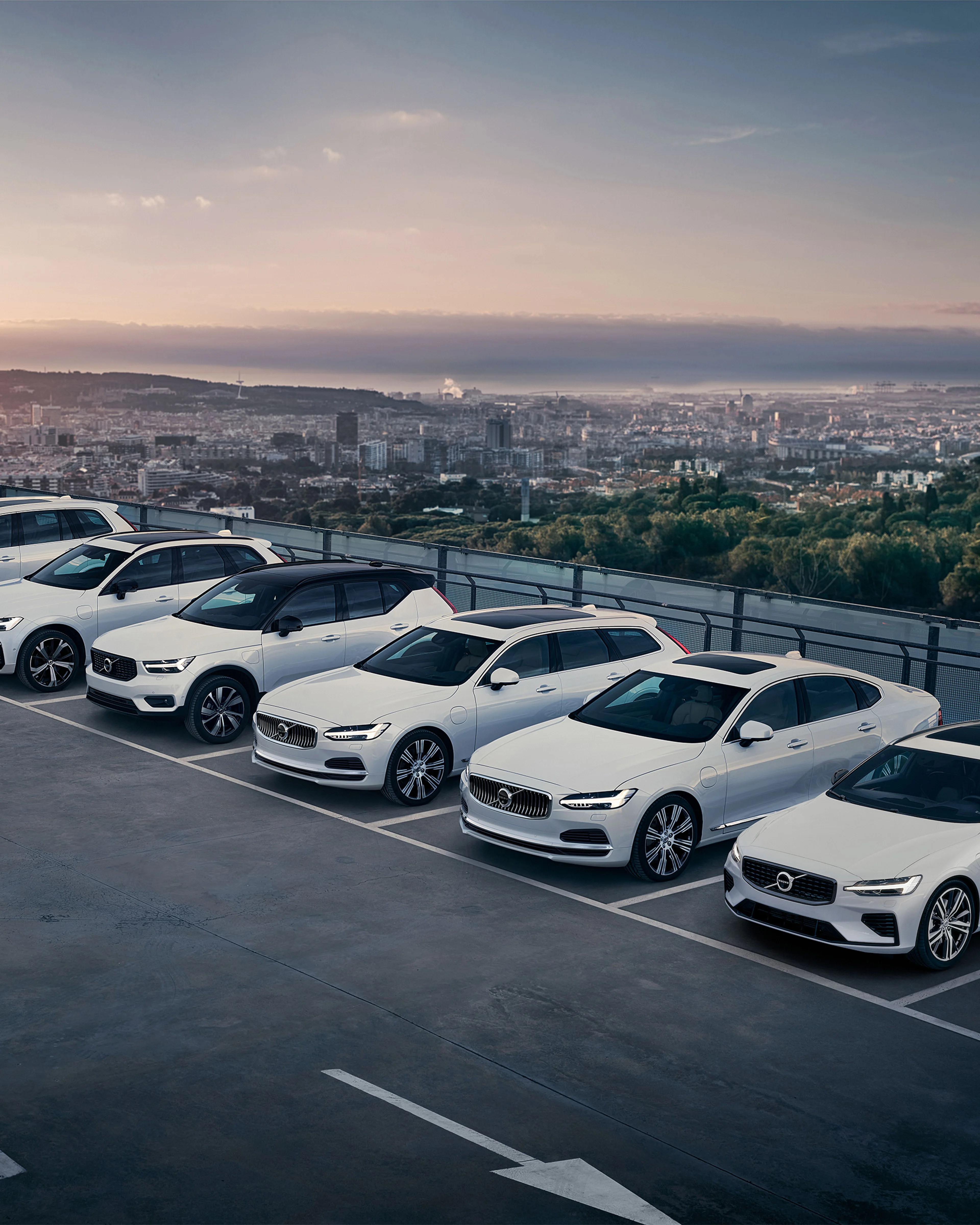 Volvo's geparkeerd
