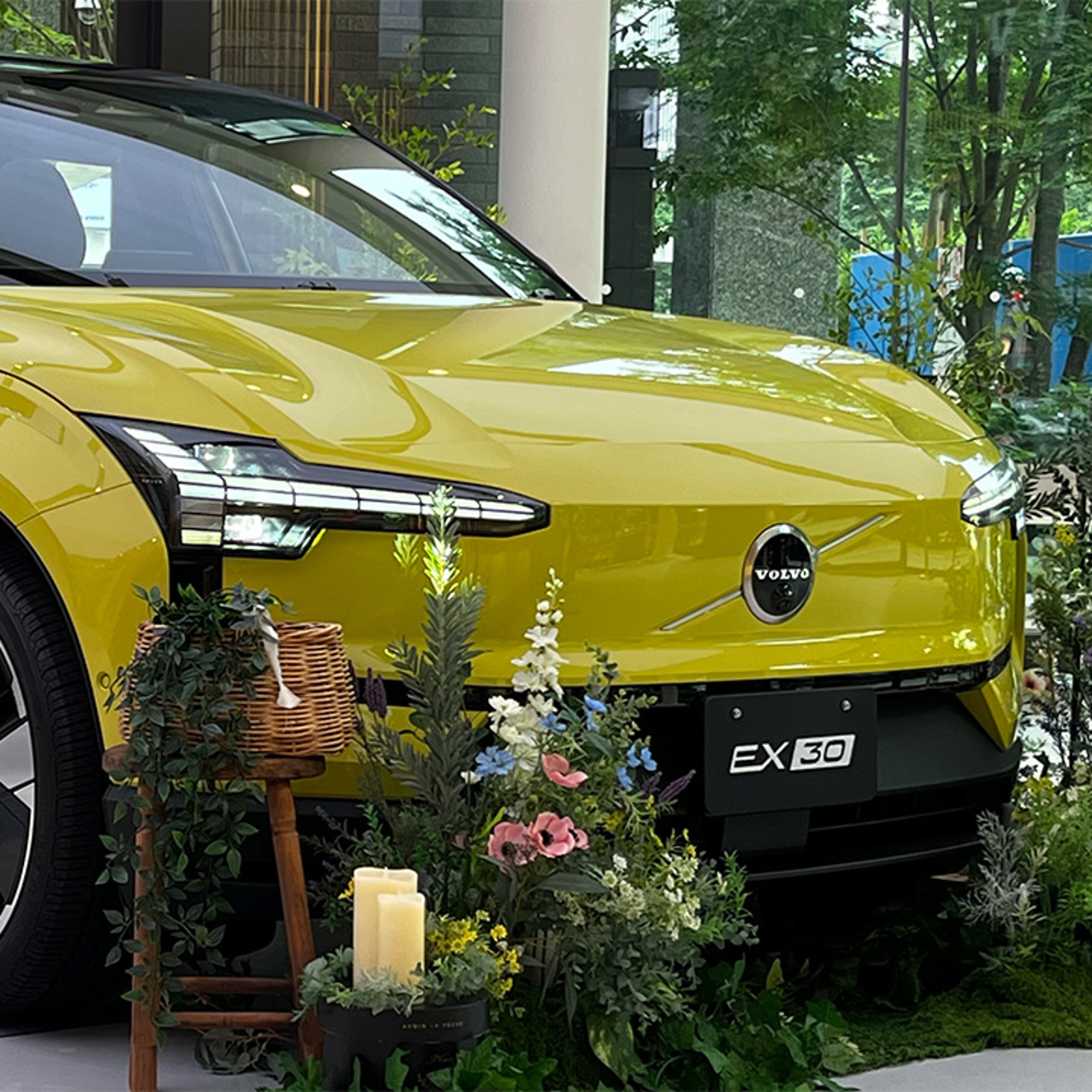 ワークショップ当日の様子