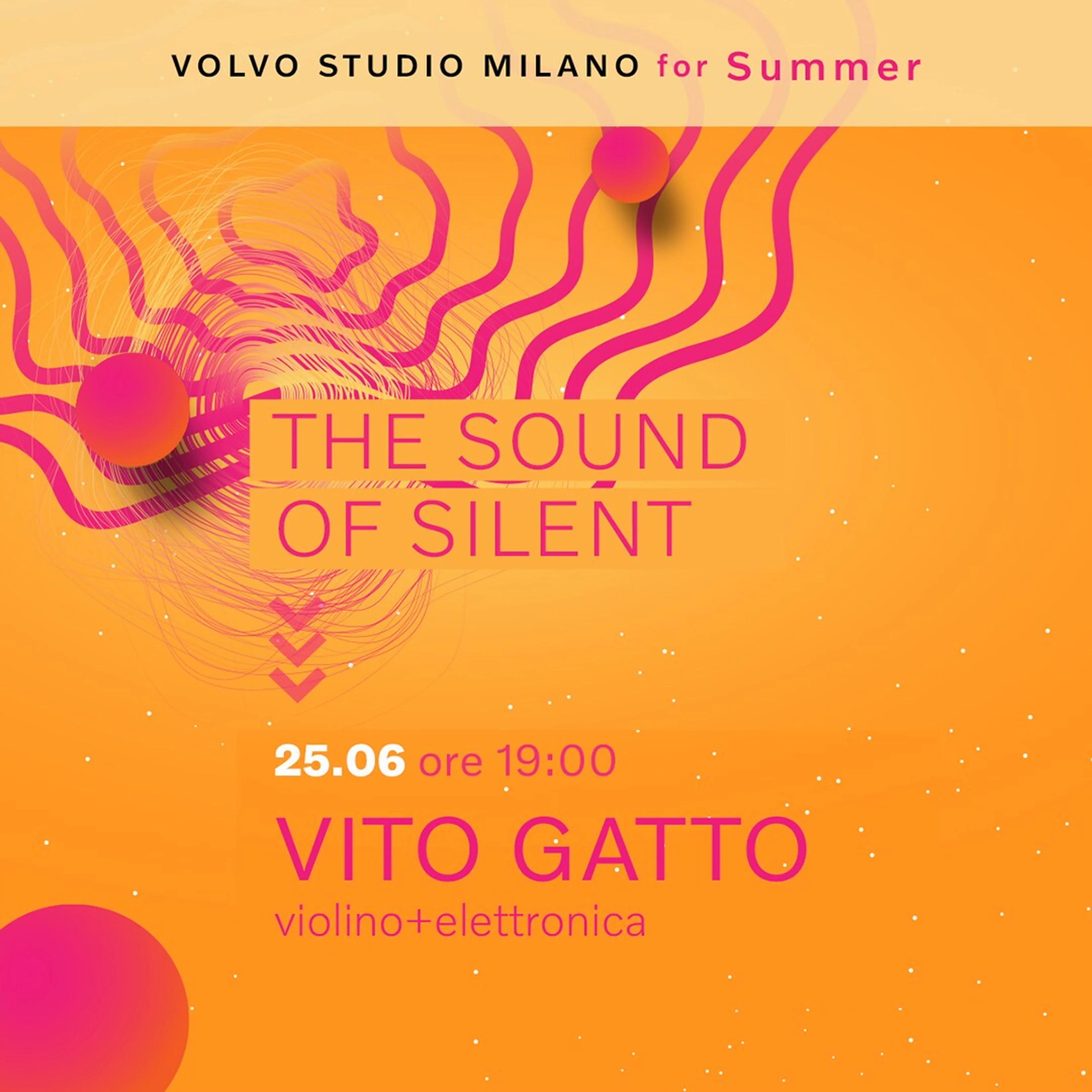 VSM | VITO GATTO