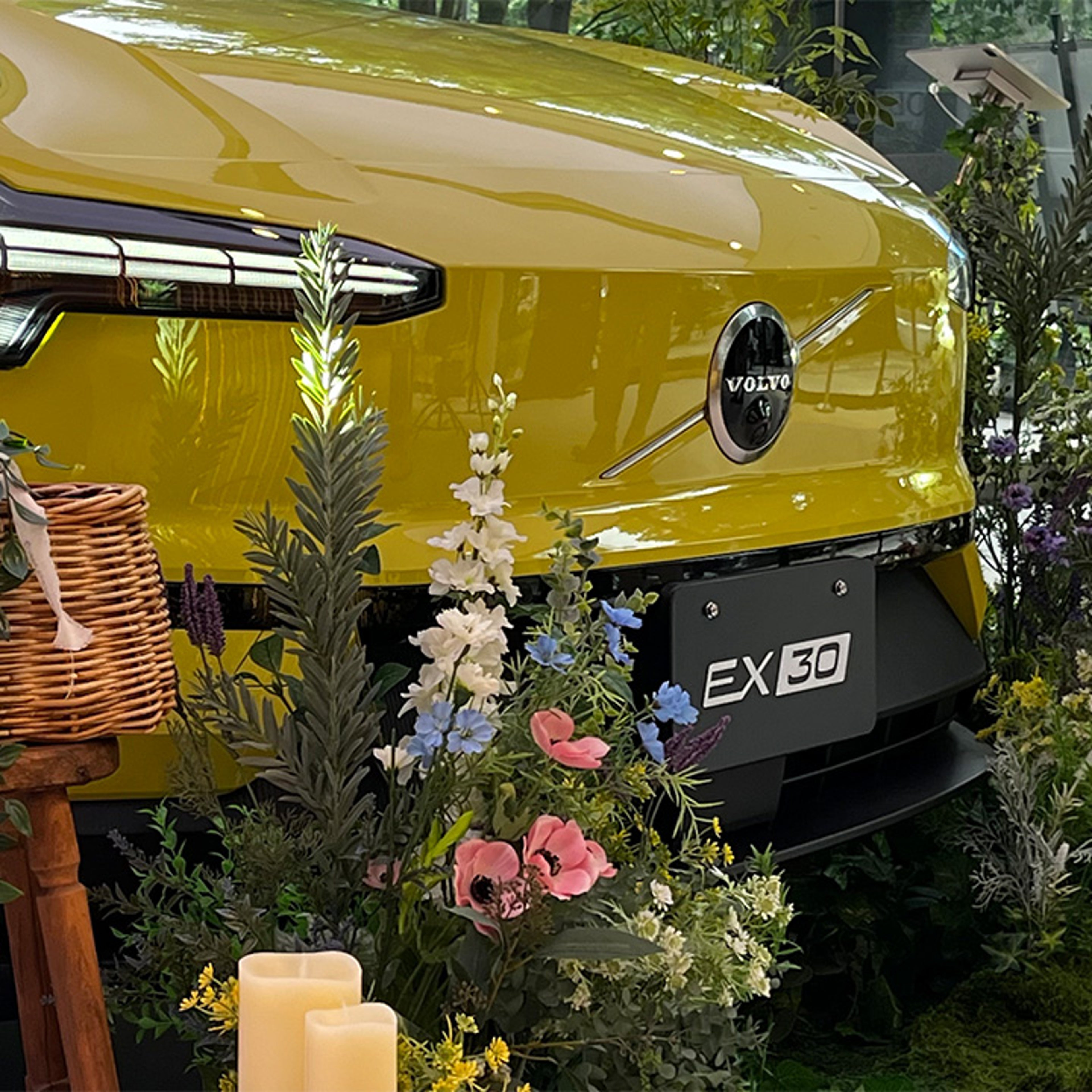 花々や植物の装飾をあしらったEX30