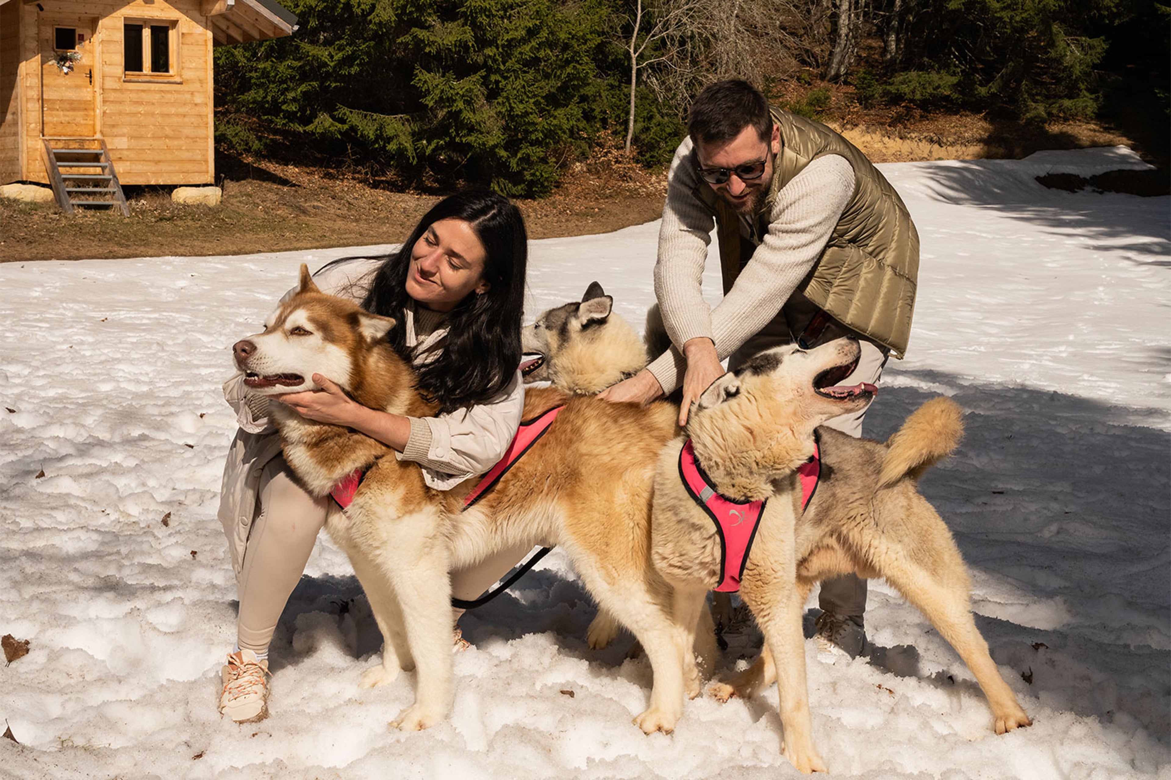 Deux personnes avec trois chiens de traîneau dans la neige, devant une cabane en bois, visages floutés.