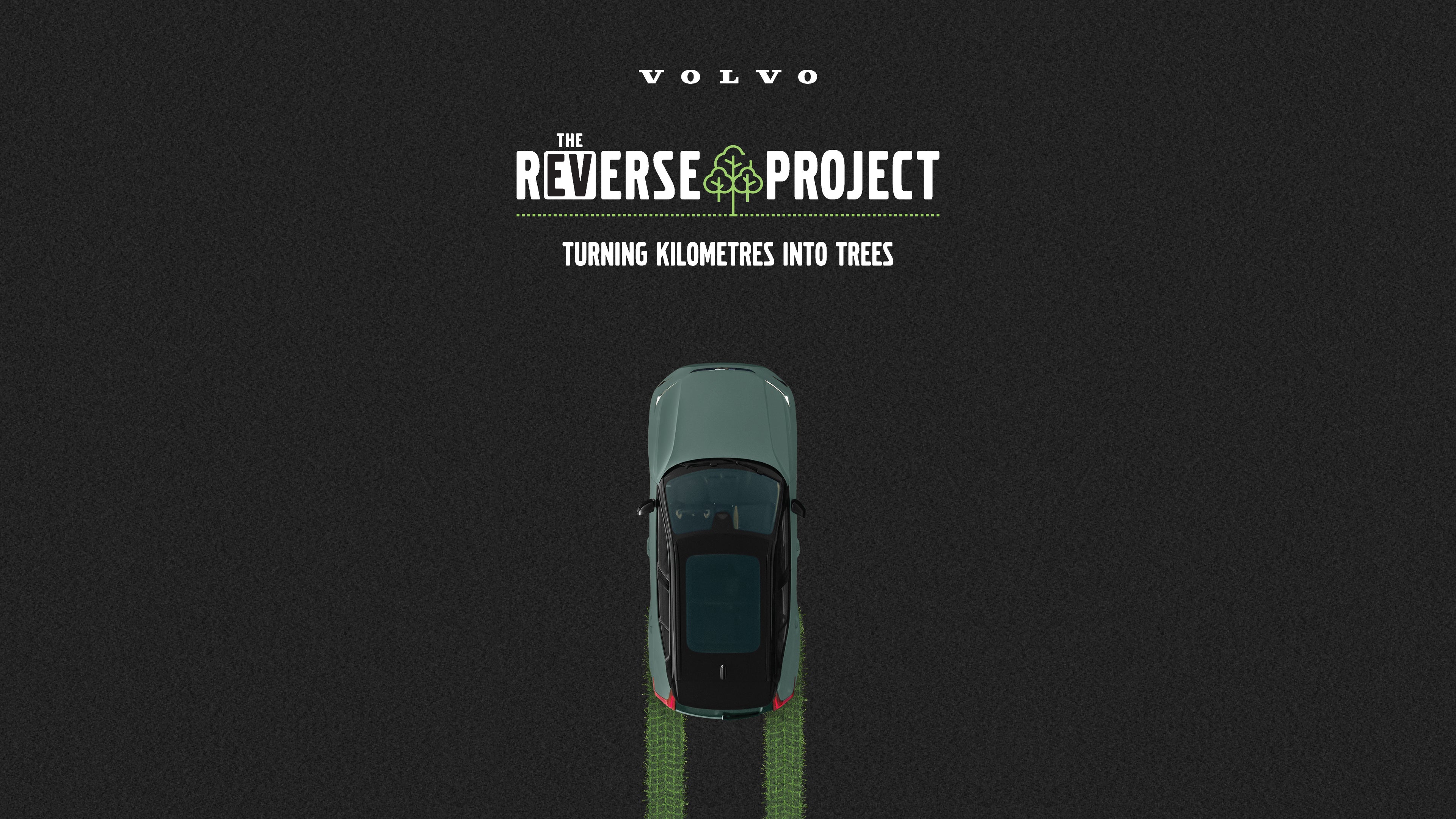 Reverse Project