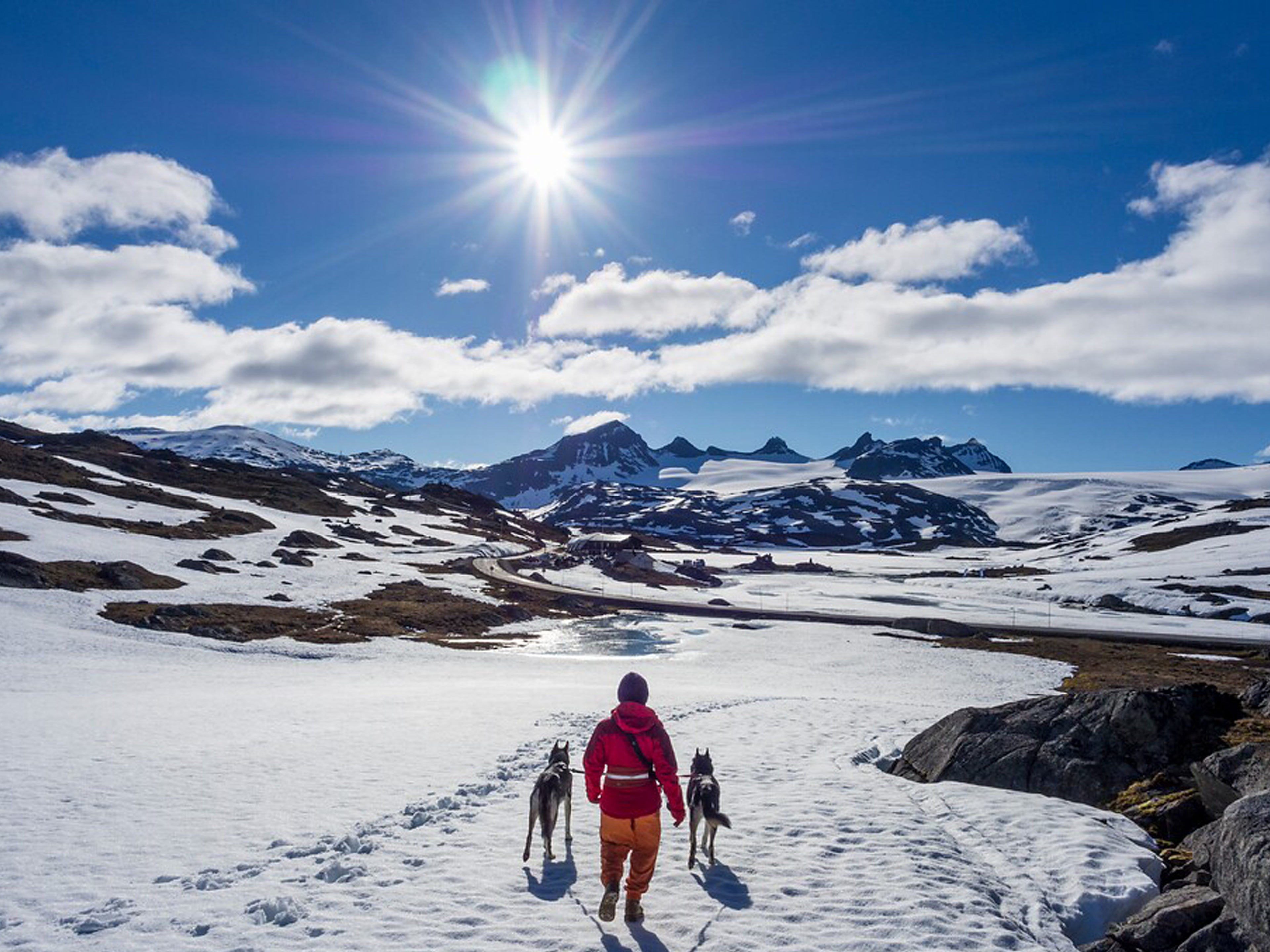 Person på ski på fjellet i sola