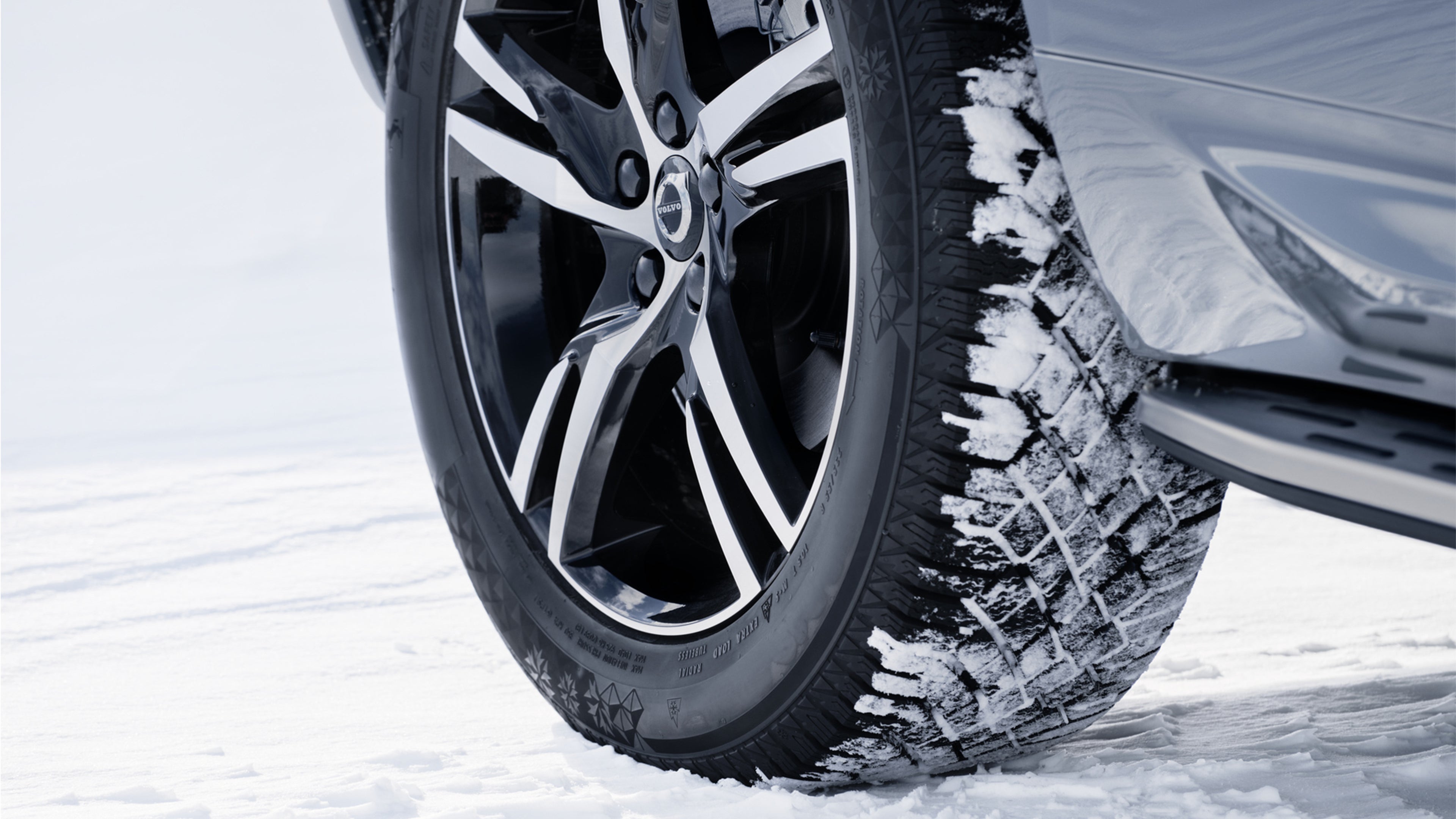 Volvon luminen talvirengas.