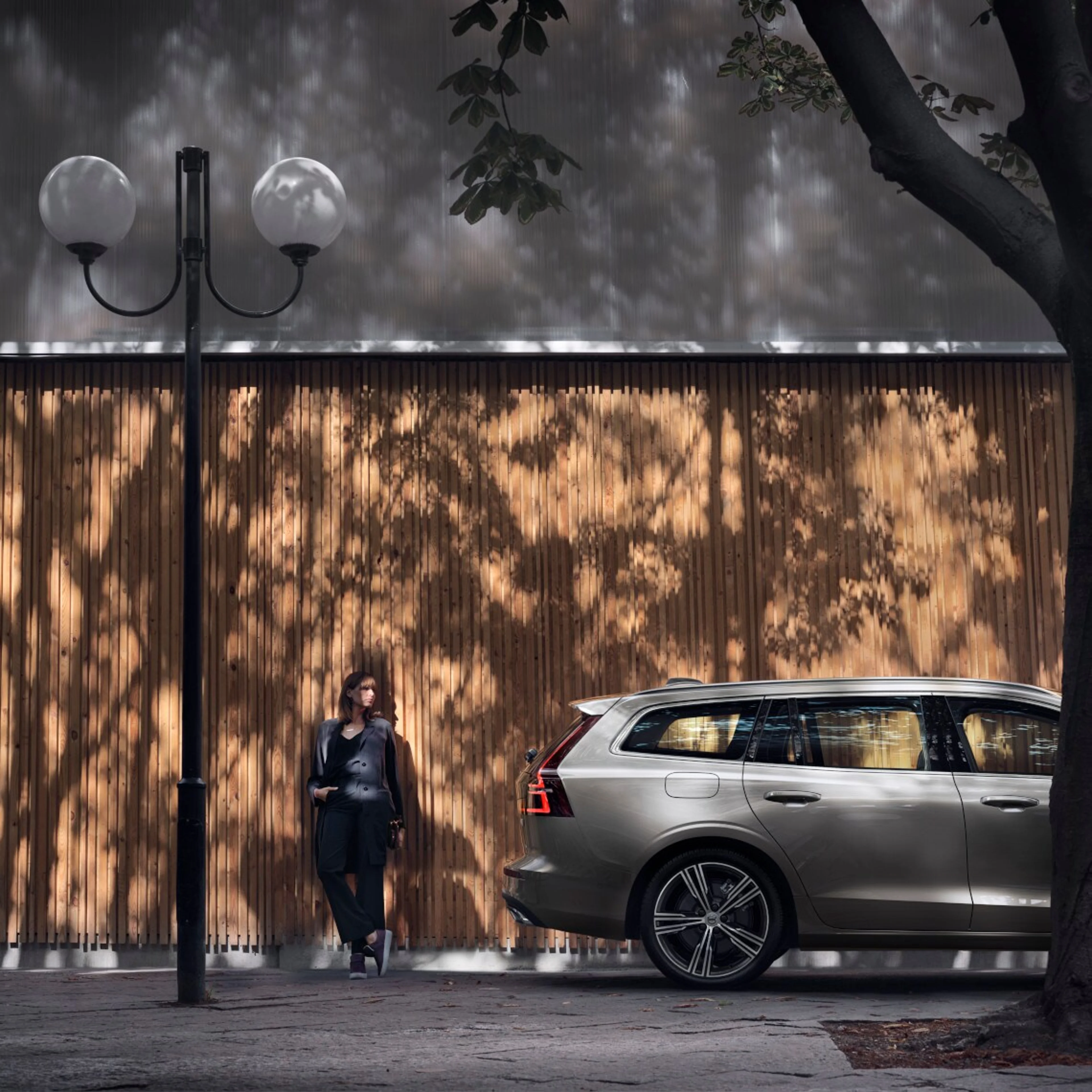 Volvo und Talent stehen vor einer Holzwand am Straßenrand