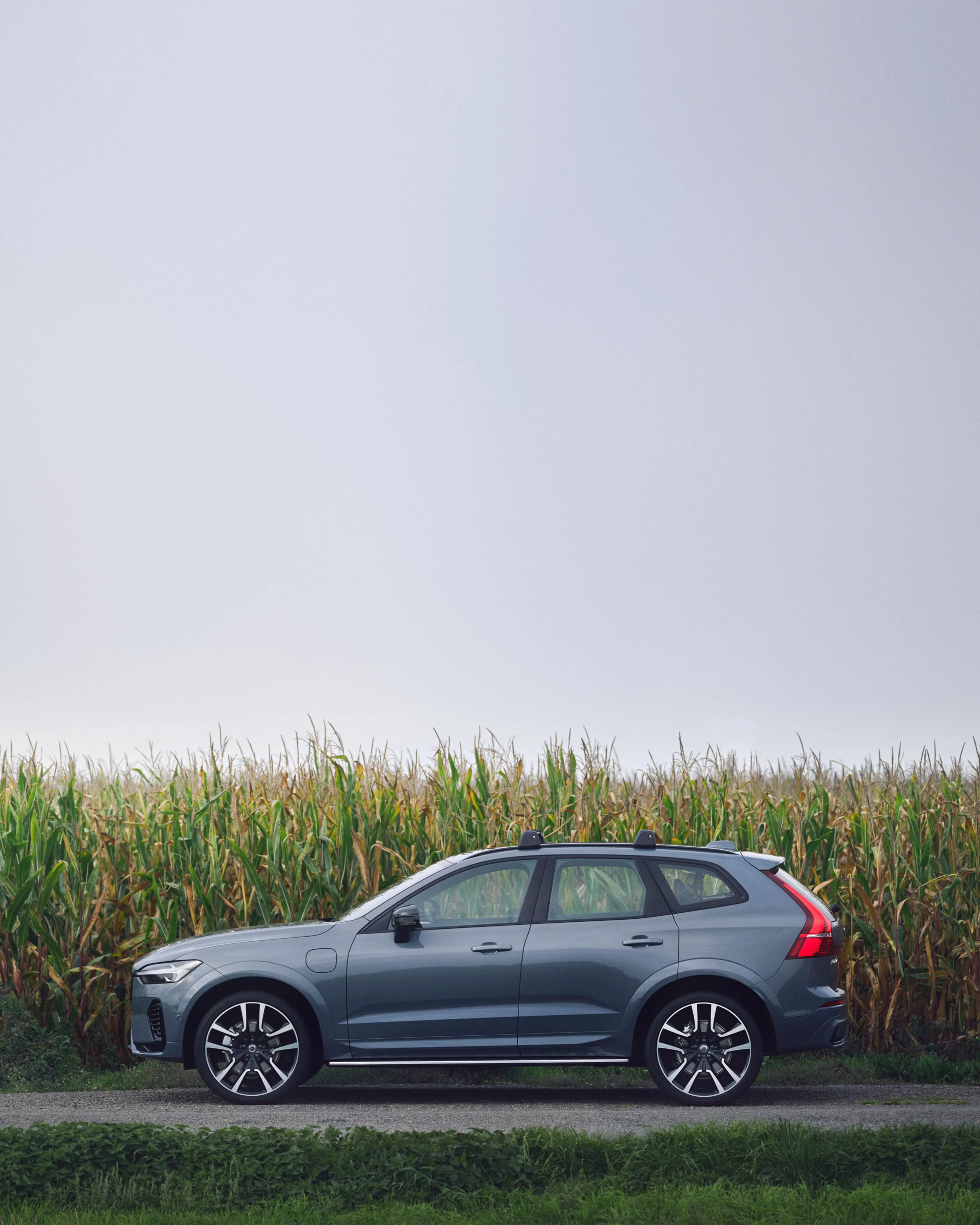 Un Volvo junto a un campo de trigo