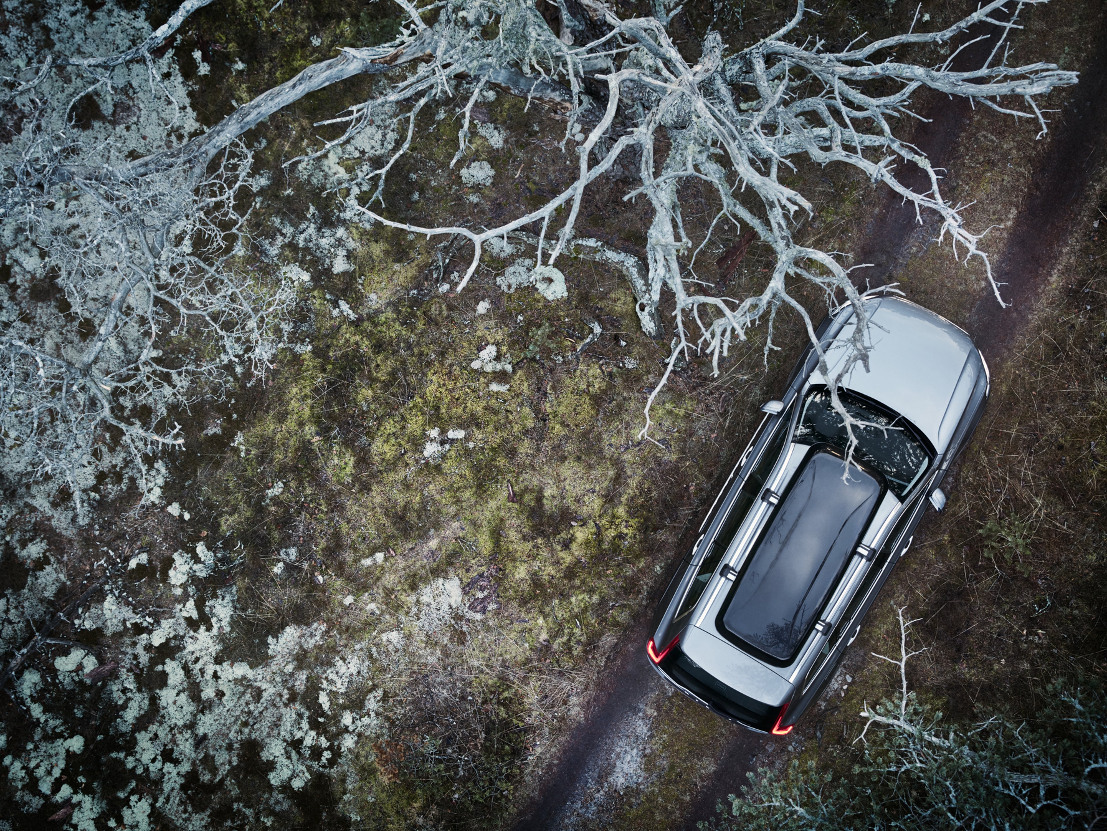 Voiture Volvo XC90 vue du dessus dans la foret