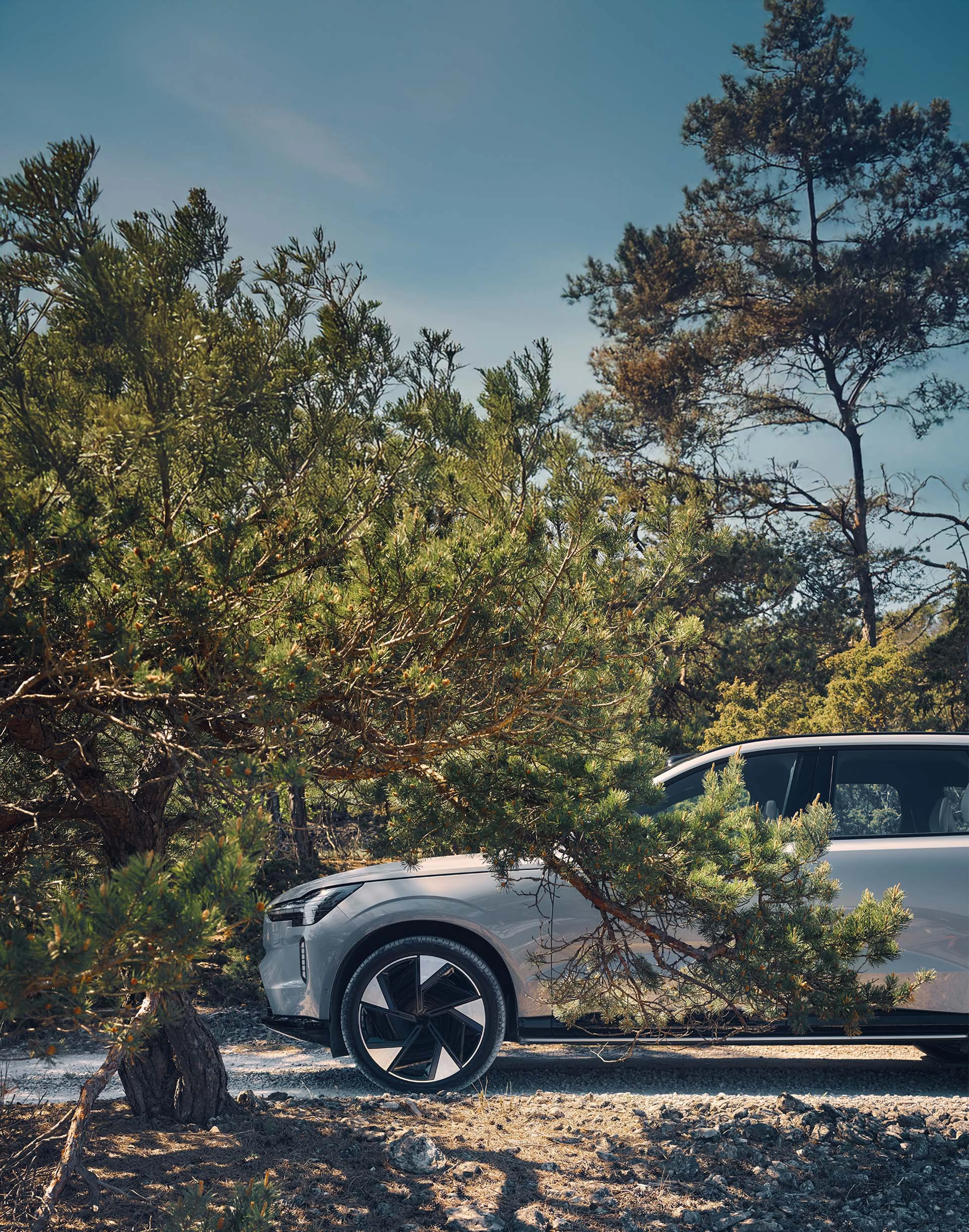 Volvo Midsommar Leasing 2025 Kampagnen Motiv