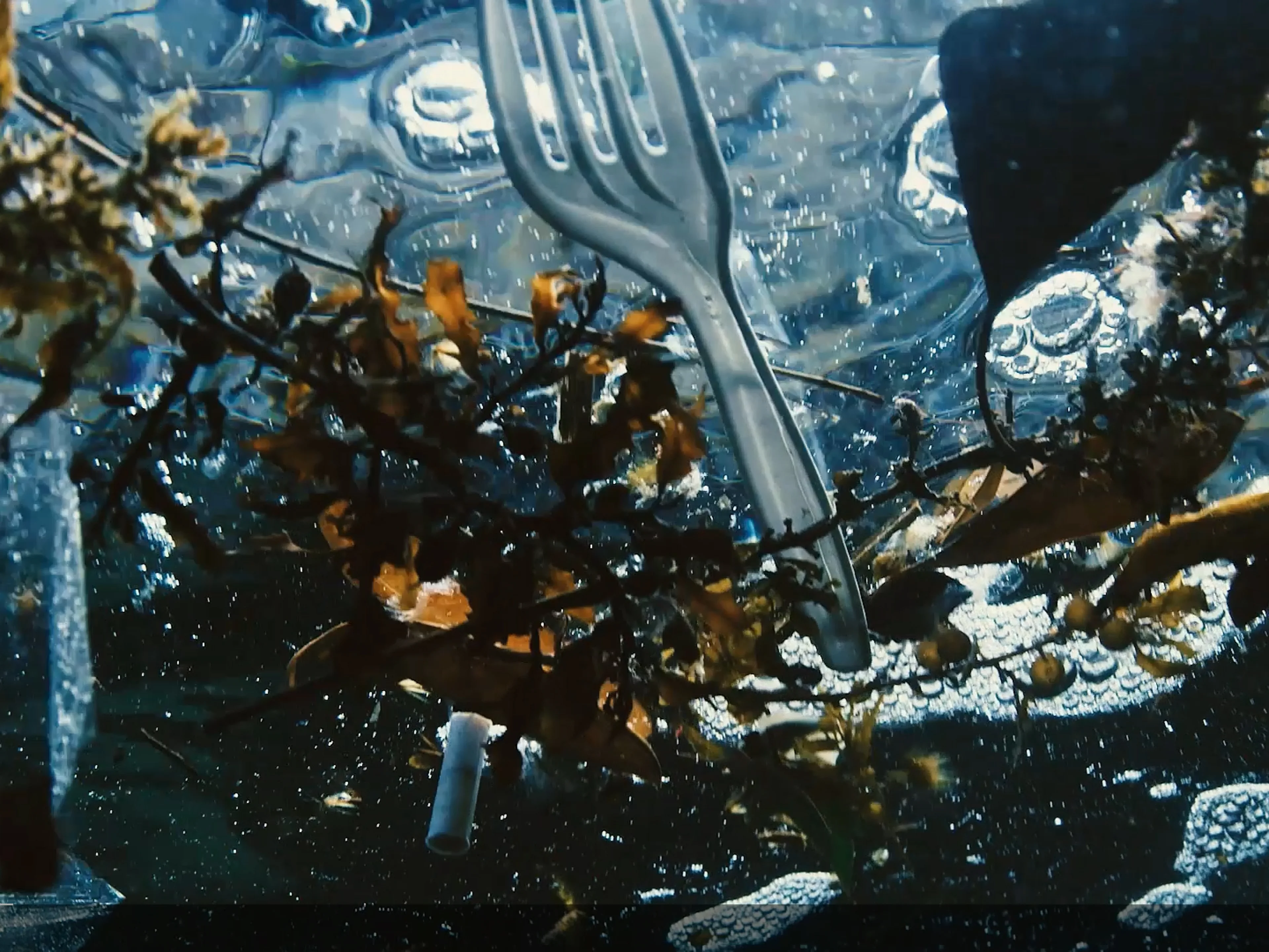 Ocean Pollution