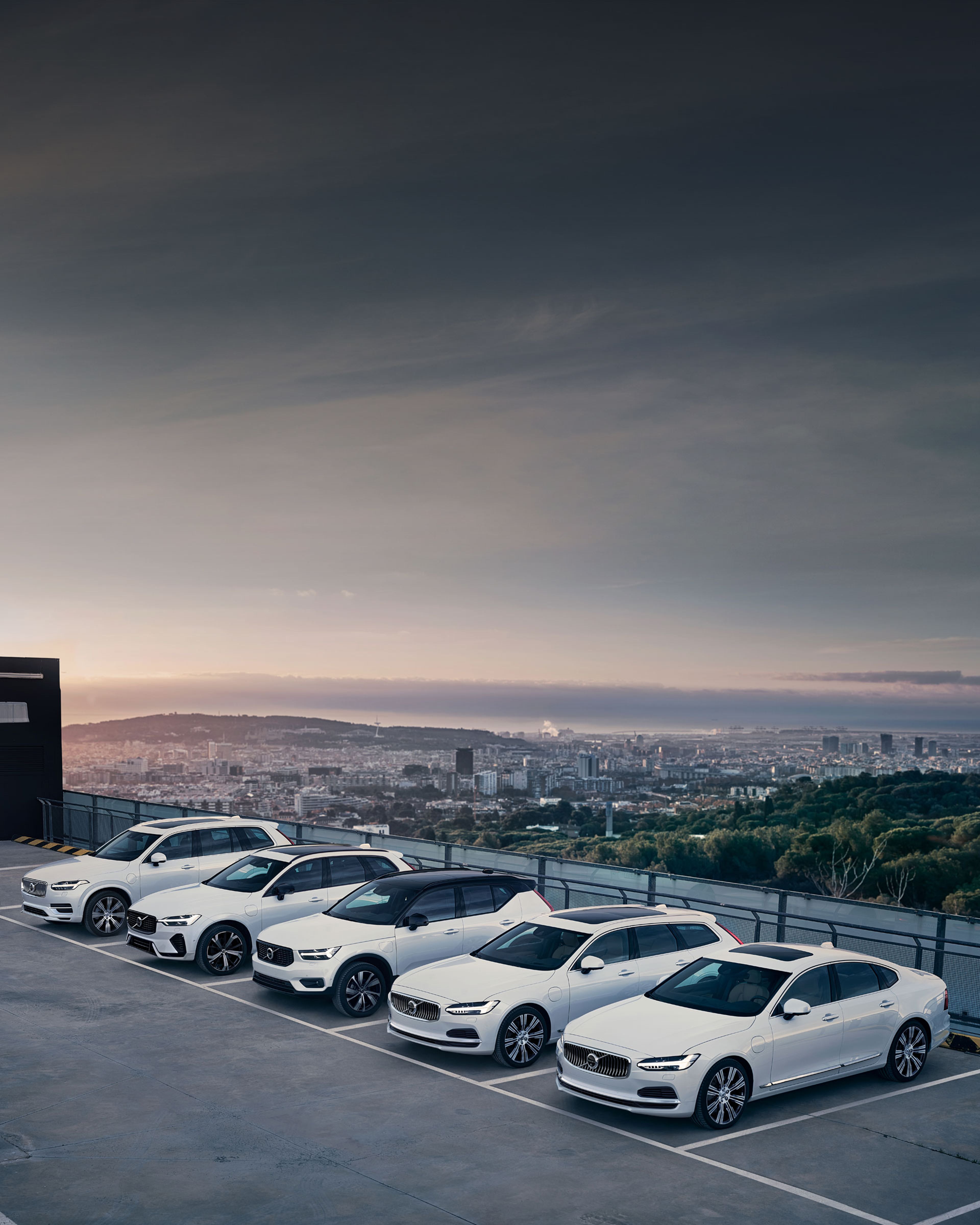 Gama de vehículos Volvo en color blanco en un estacionamiento a cielo abierto.