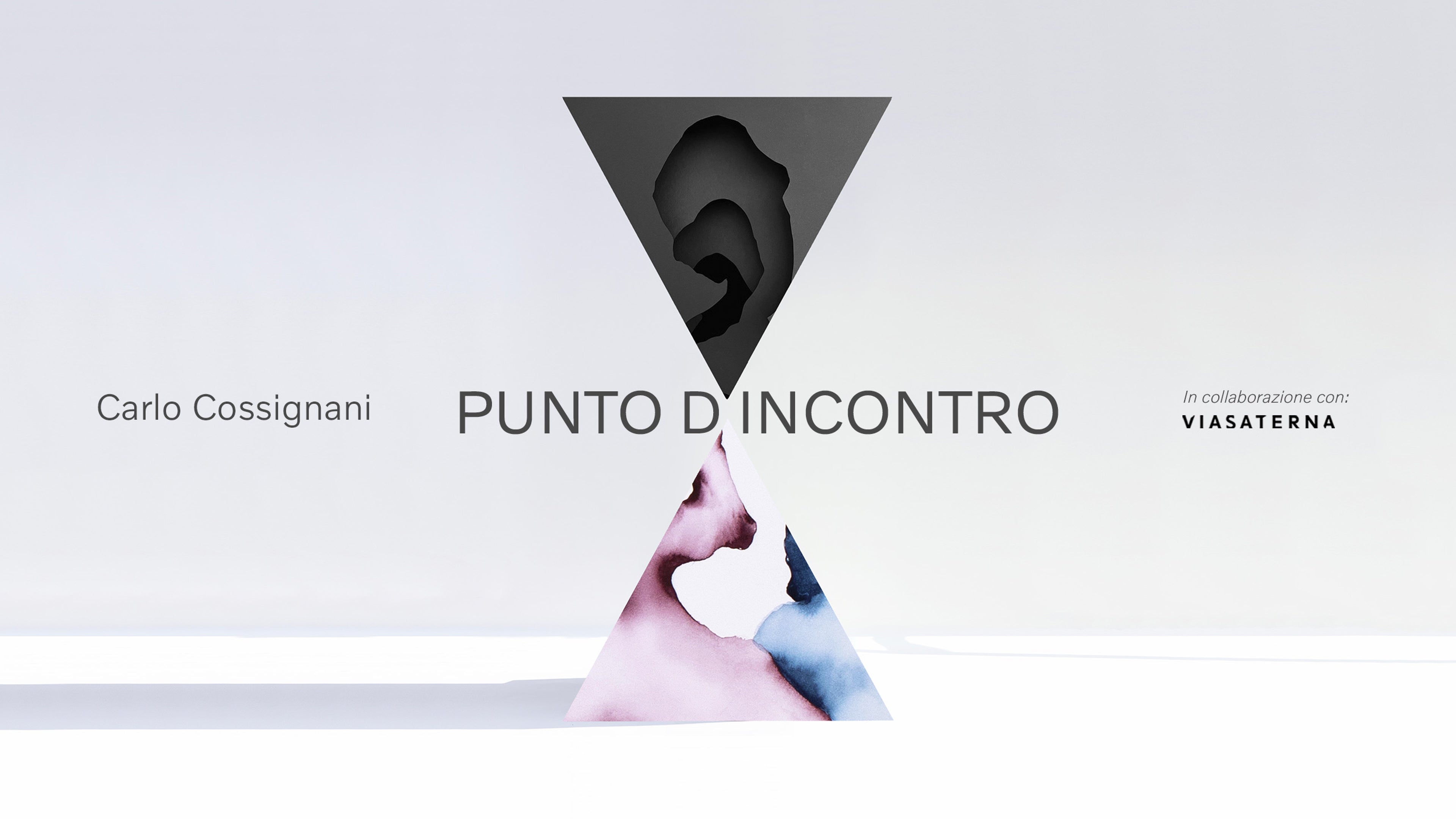 VSM | Viasaterna | Carlo Cossignani