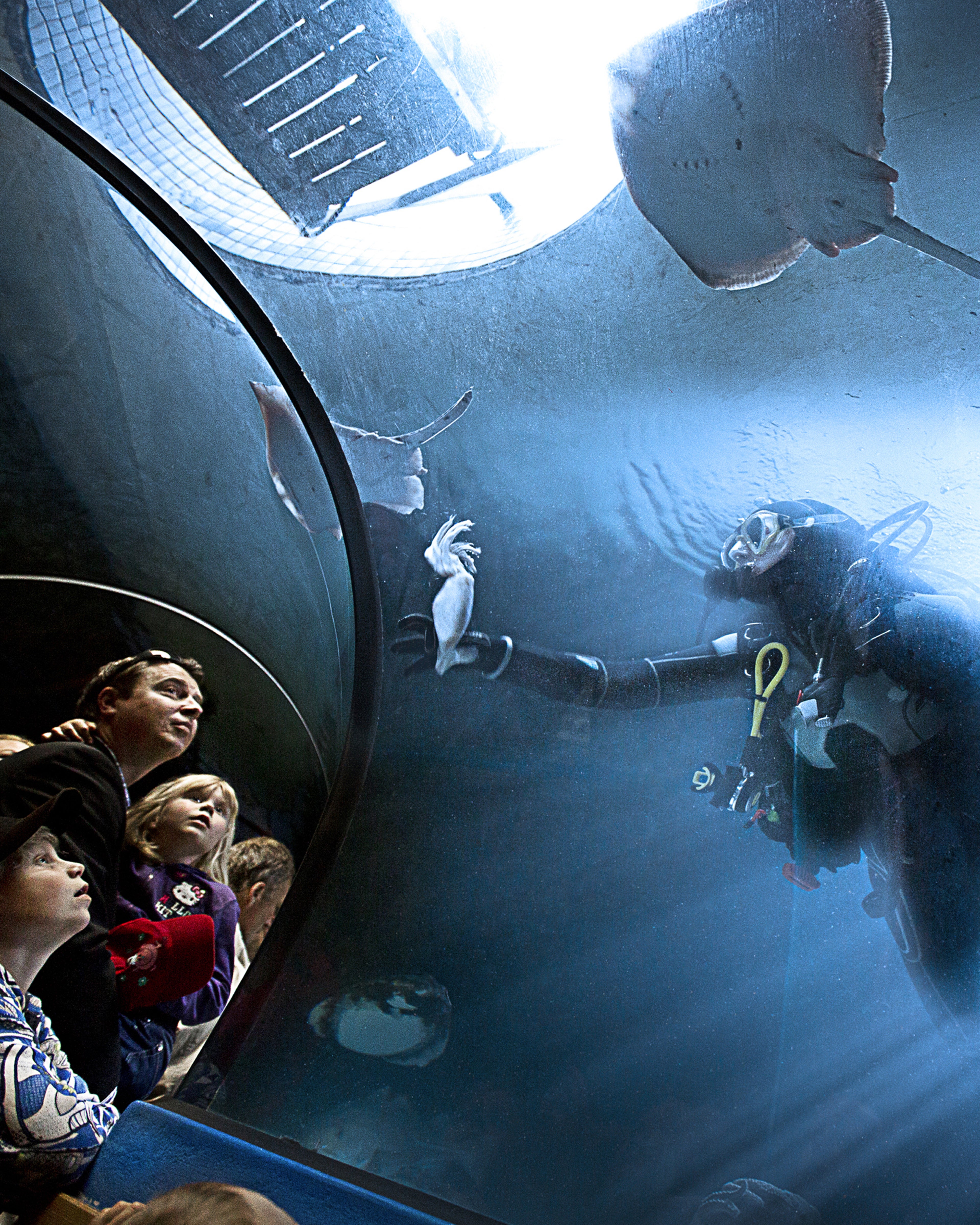 Familie i undervannstunellen med fisker og dykker på utsiden