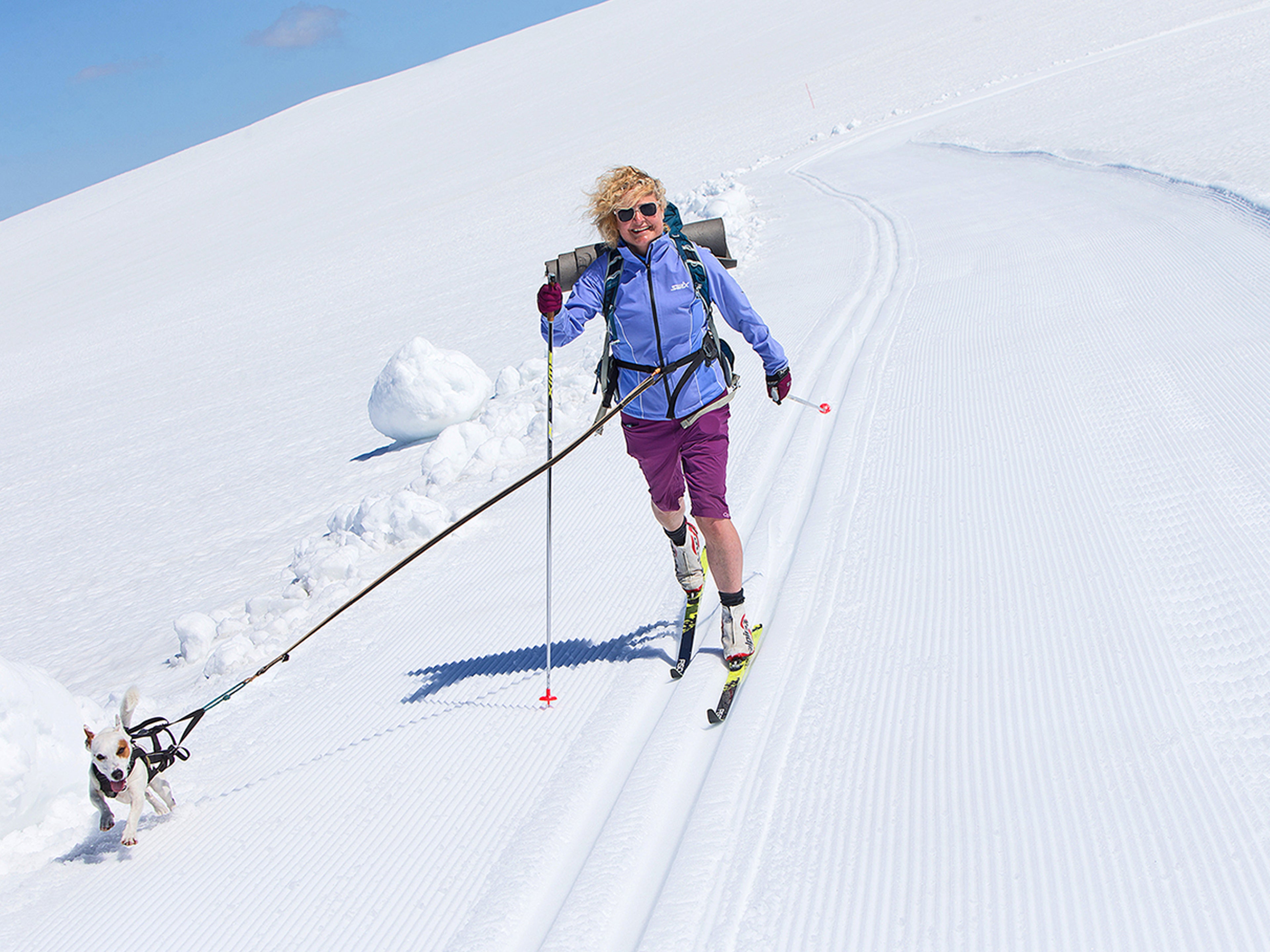 Langrenn ned Sognefjellet i sola