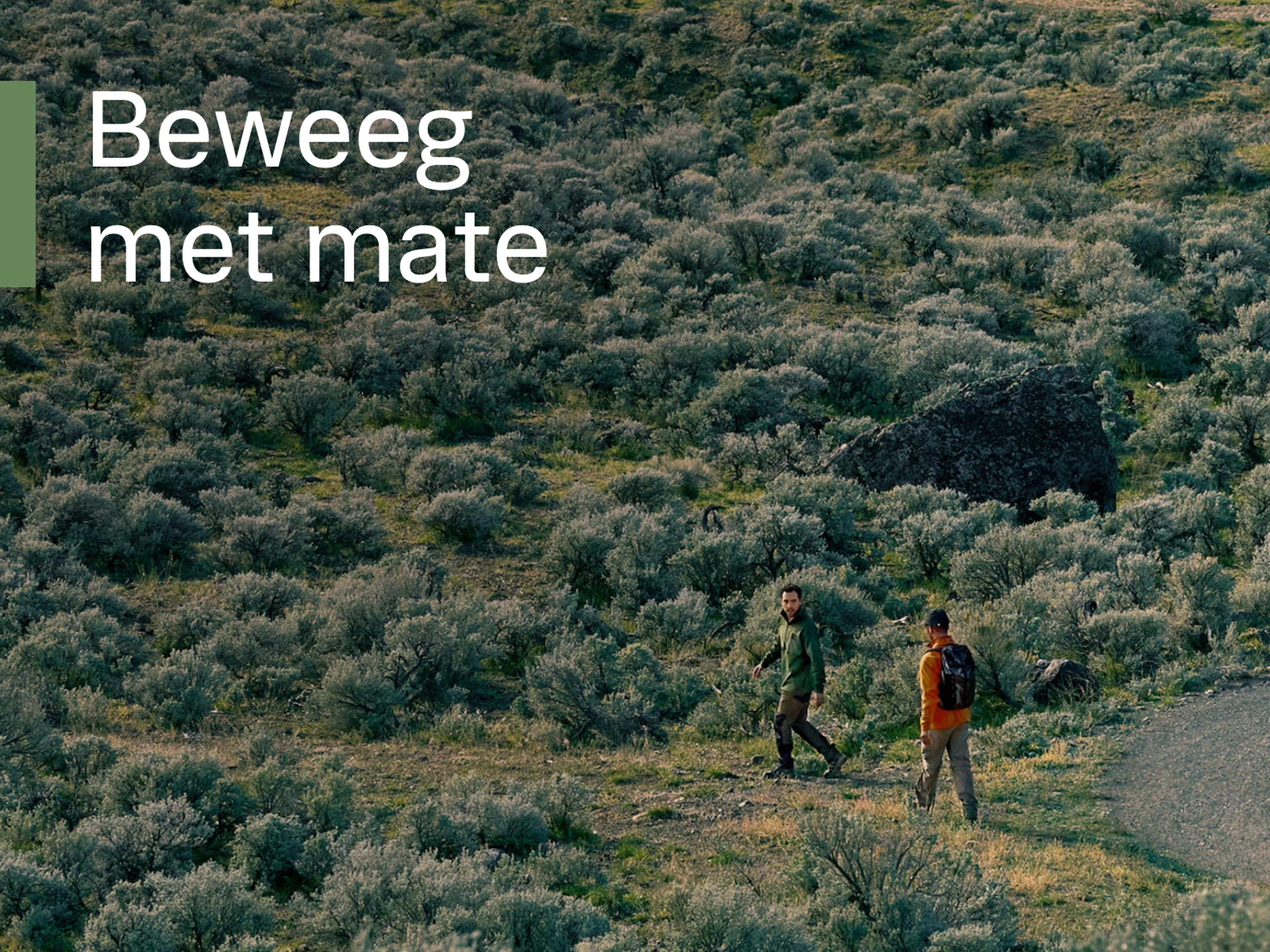 Twee mannen wandelen door een uitgestrekt, natuurlijk landschap, met een witte tekst op de voorgrond: Beweeg met mate.