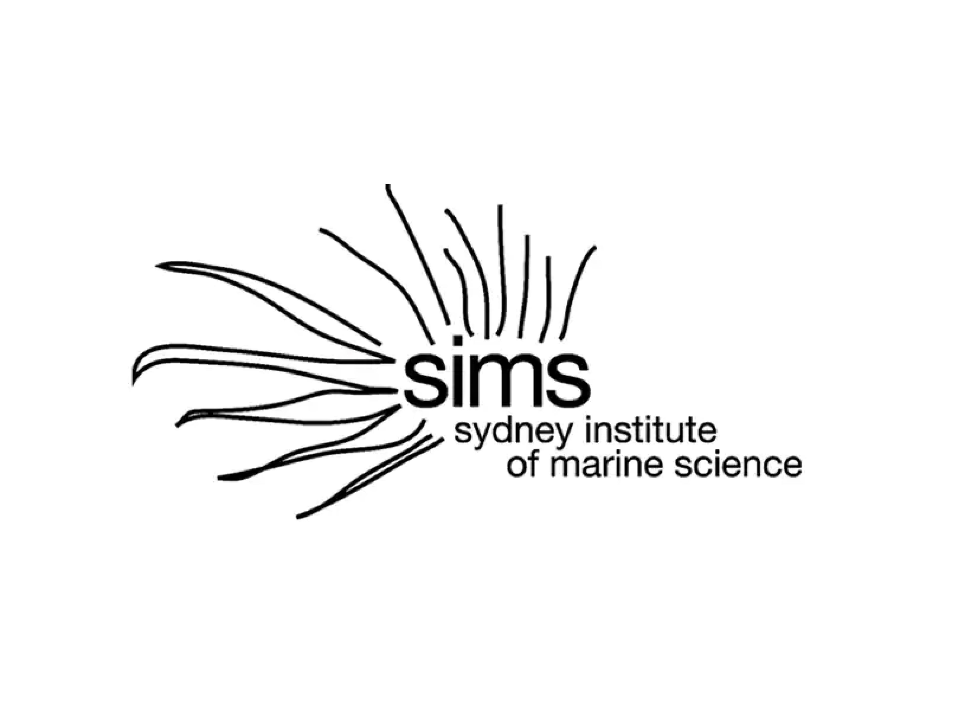 SIMS