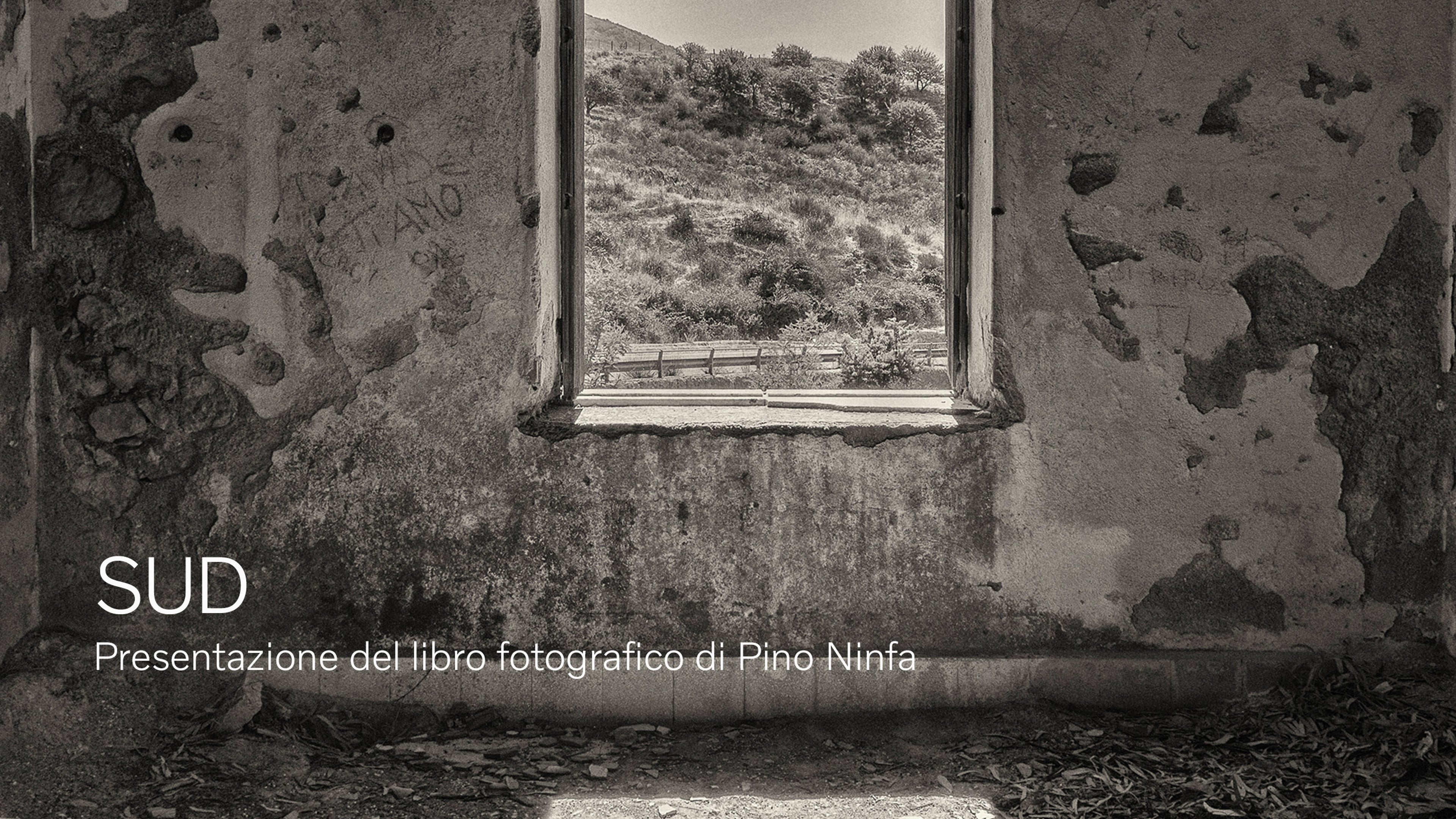 VSM | SUD | Pino Ninfa