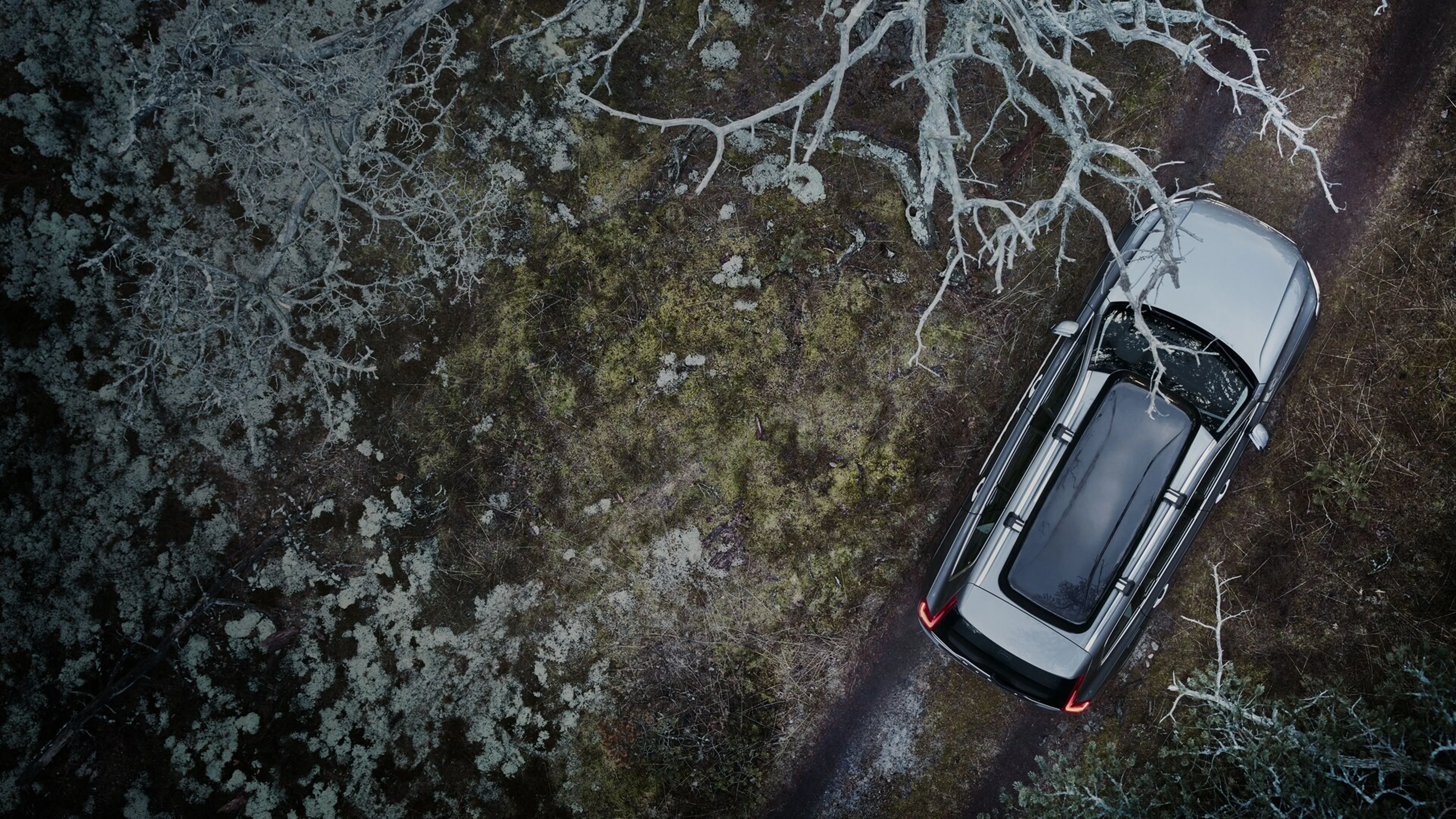 Volvo Asistență