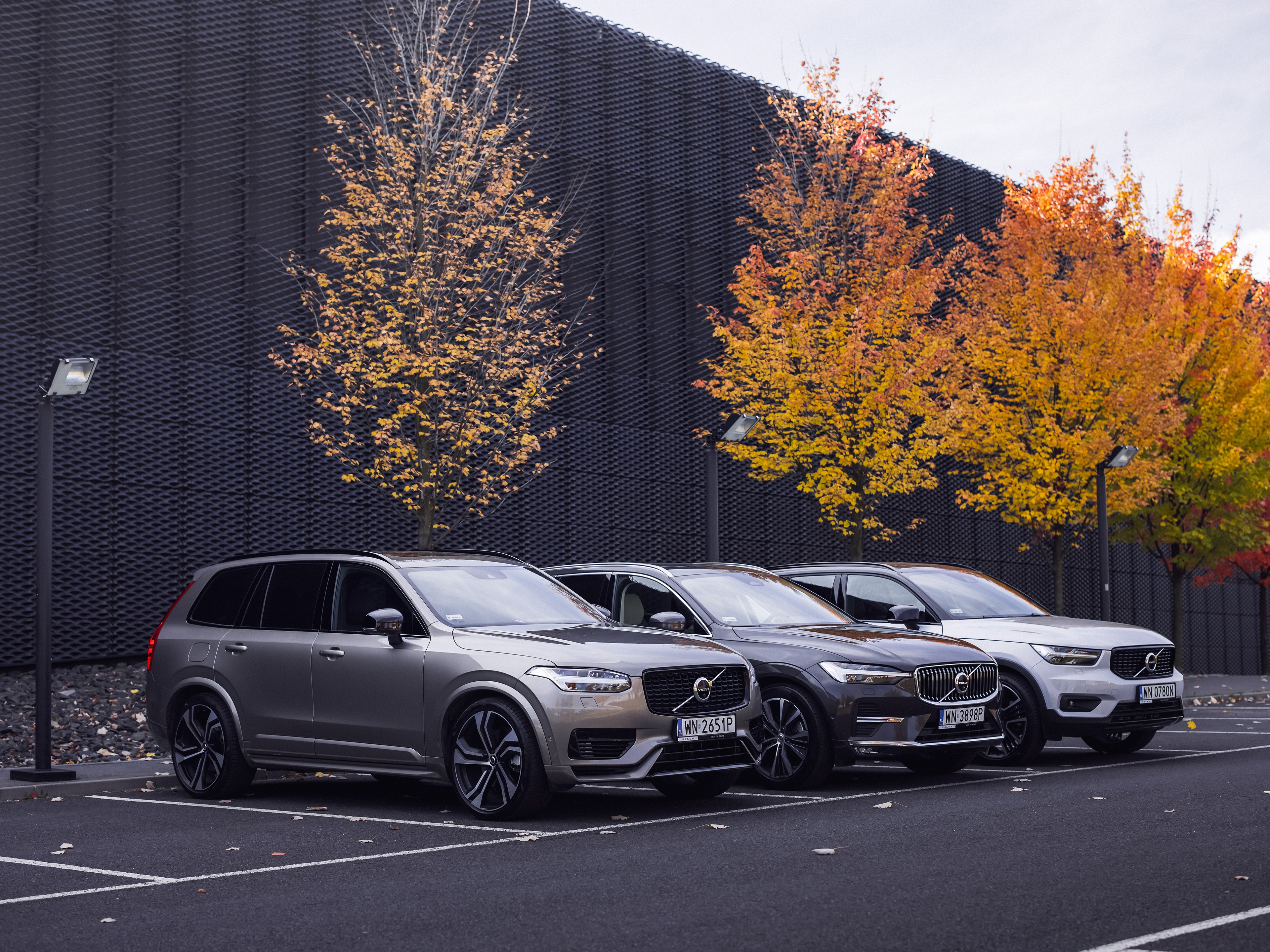 Volvo XC40 XC60 XC90 jesien drzew