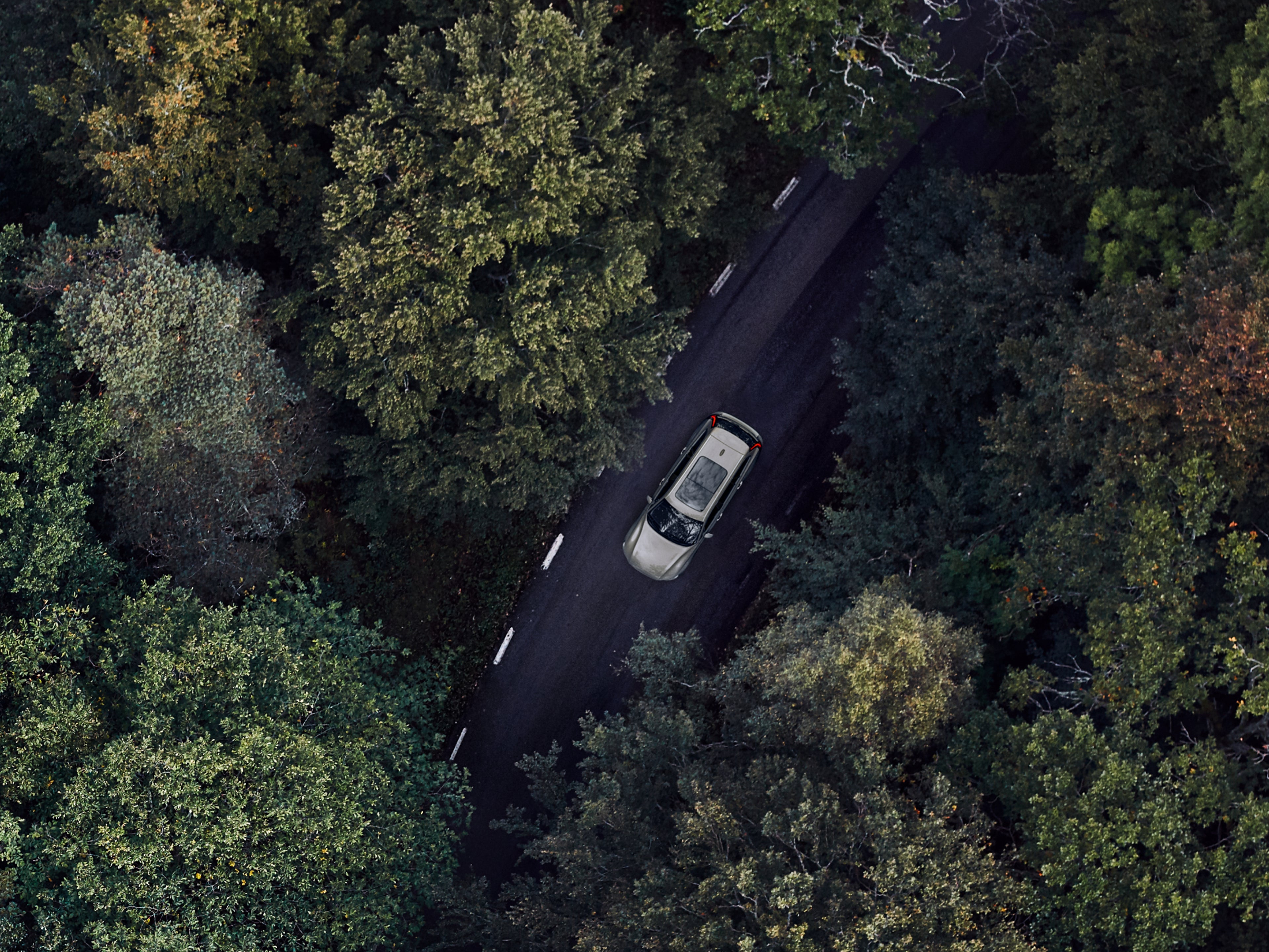 Vogelperspektive: Ein silberner Volvo V60 fährt durch ein Waldstück.