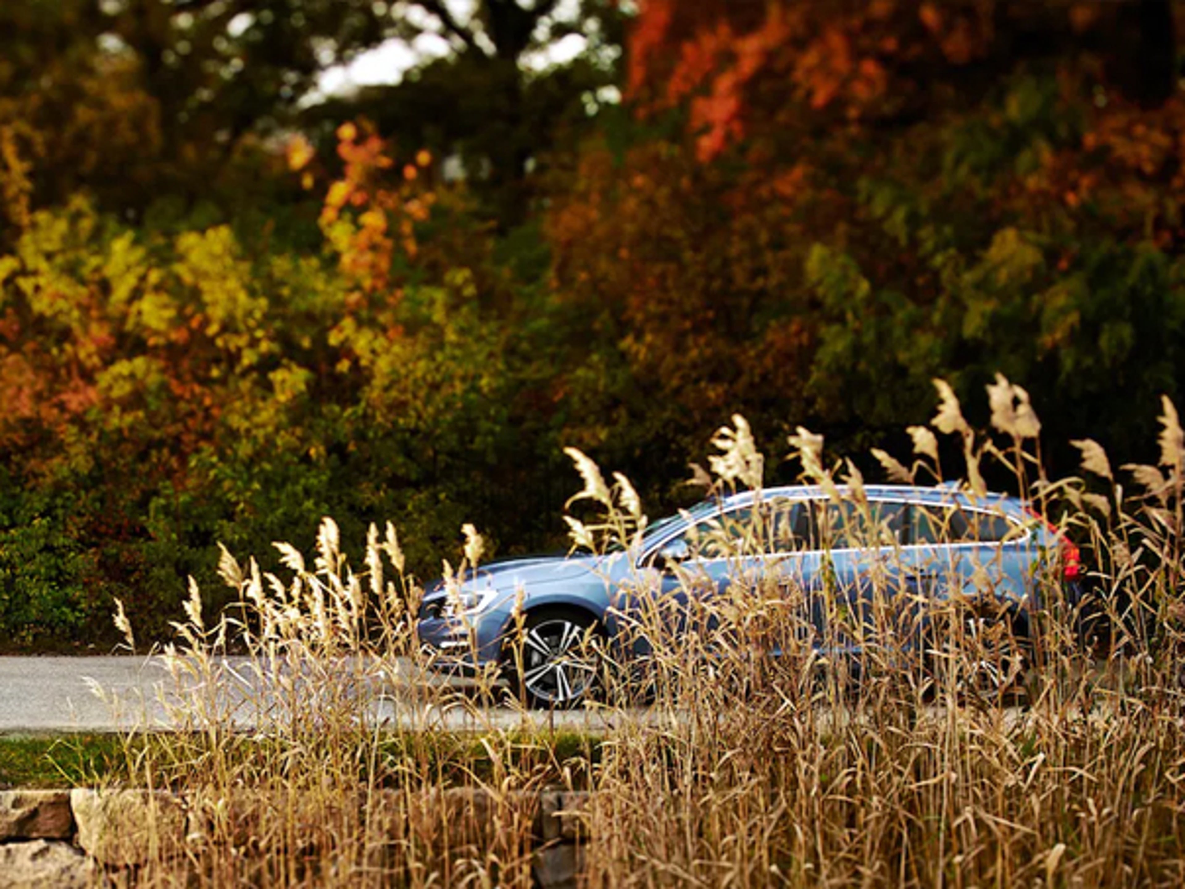 Volvo sett fra siden med en eng forran