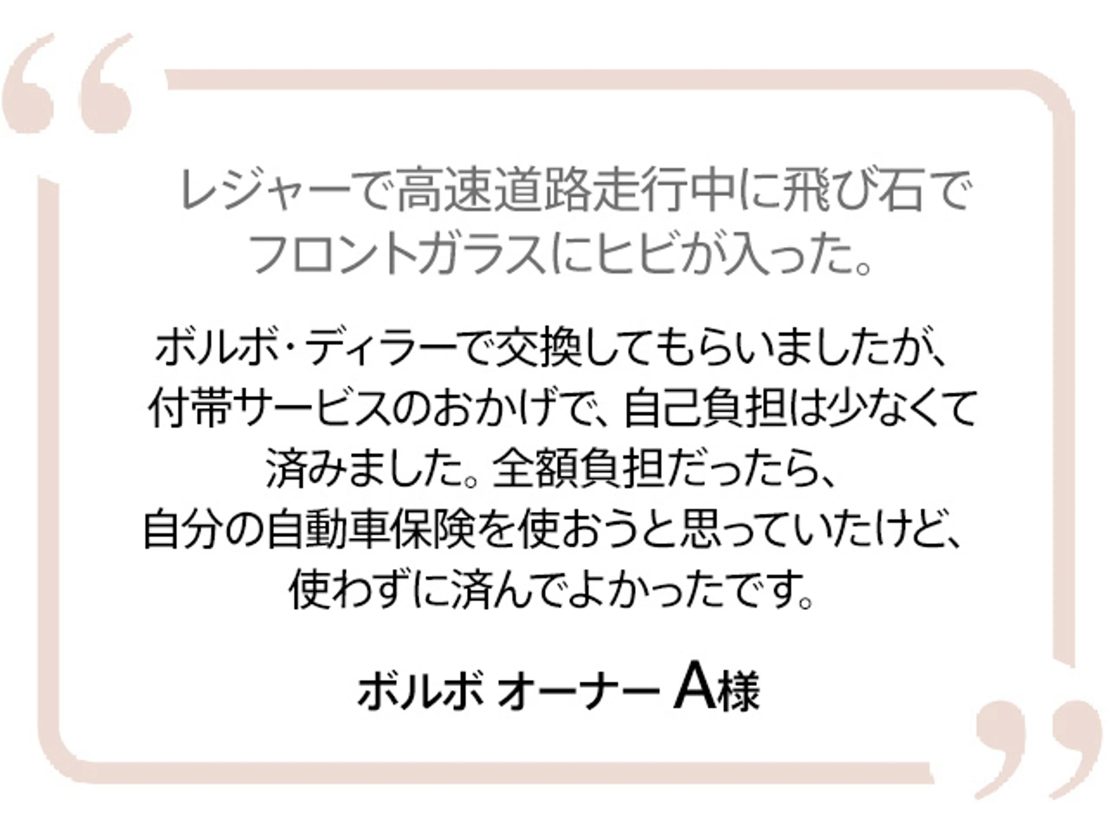 voice01