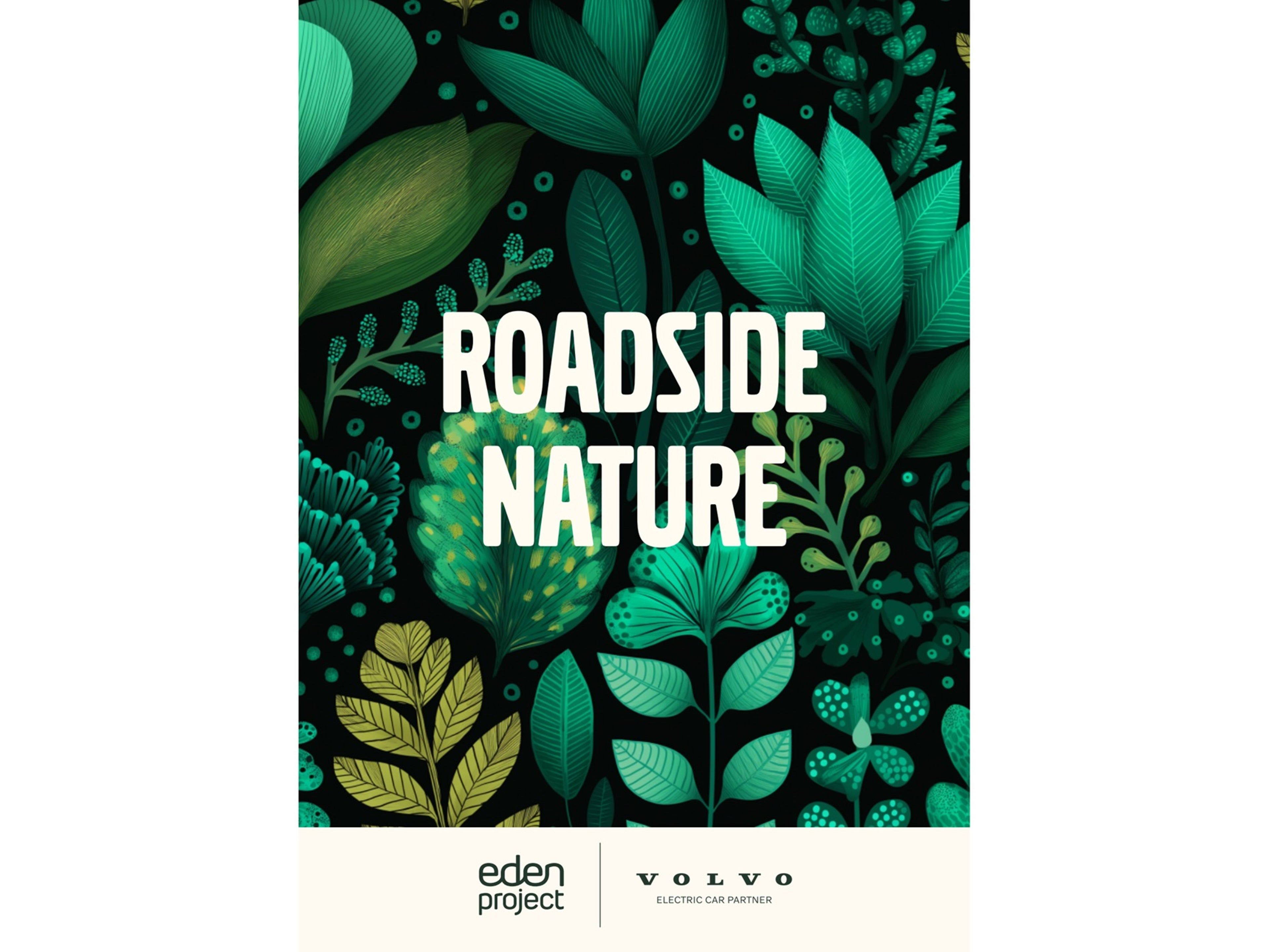 Roadside Nature Activity Pack
