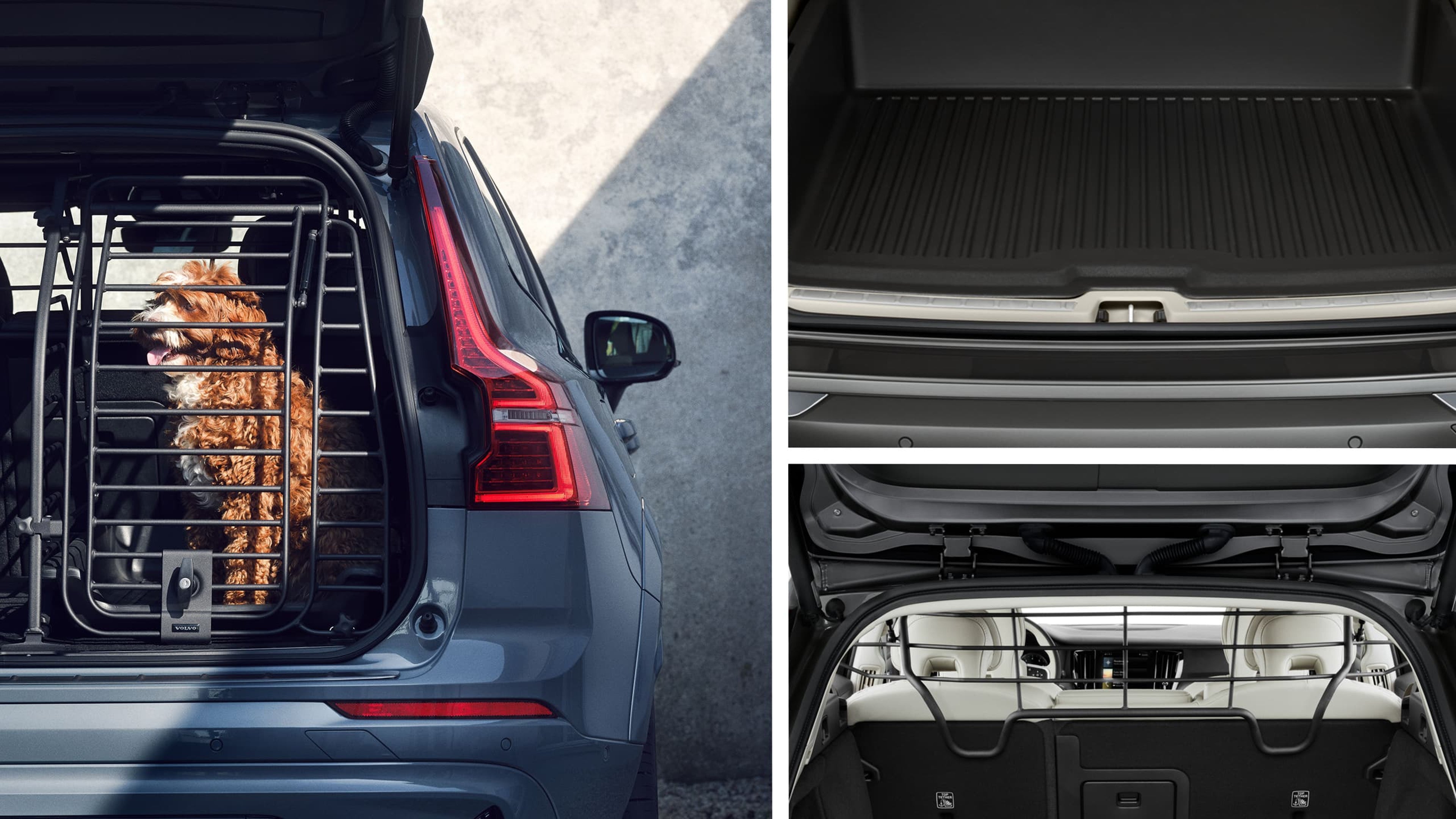 Collage Volvo Dog Pack