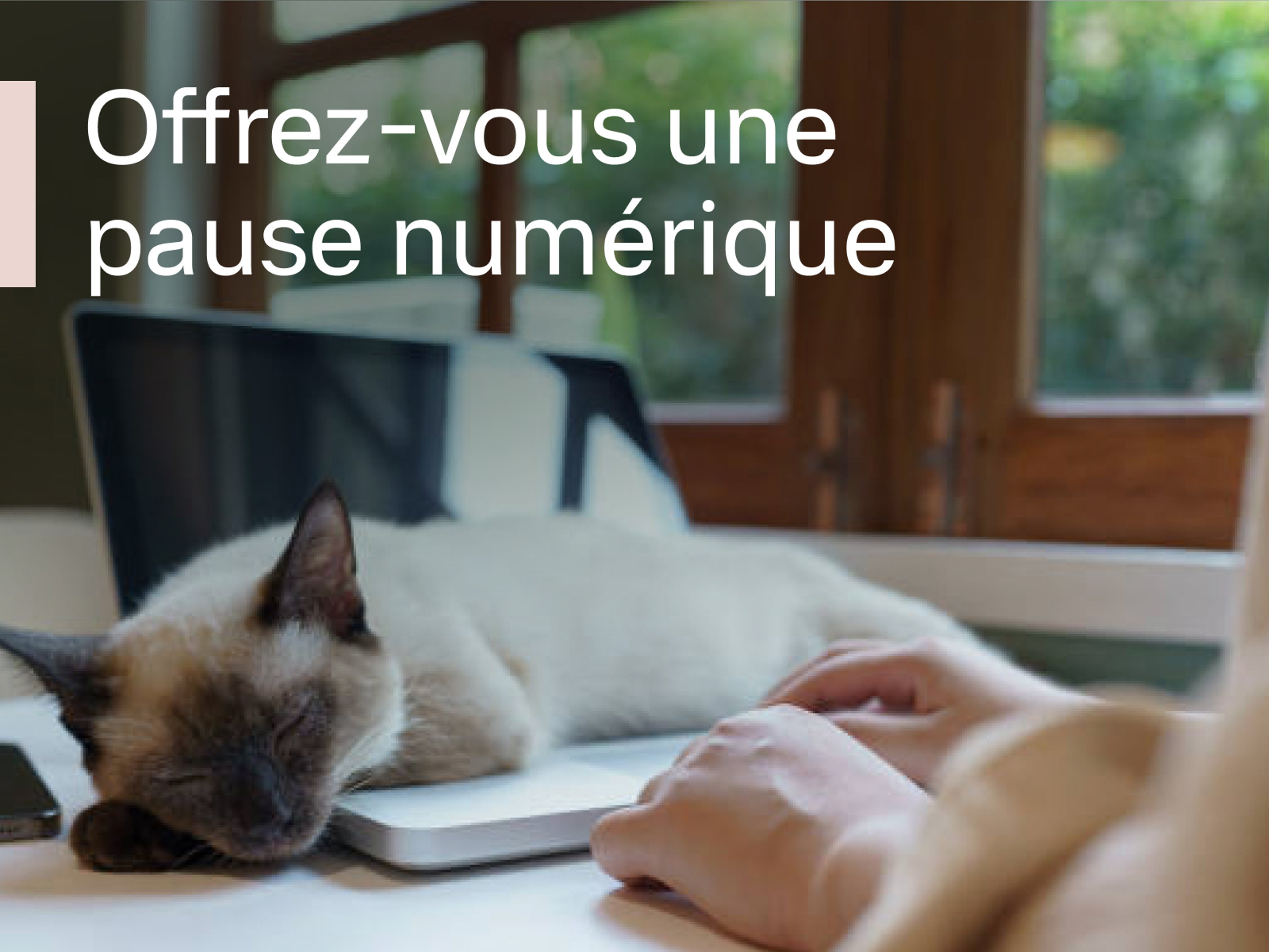 Un chat dort sur un ordinateur portable, avec du texte blanc au premier plan : Offrez-vous une pause numérique.